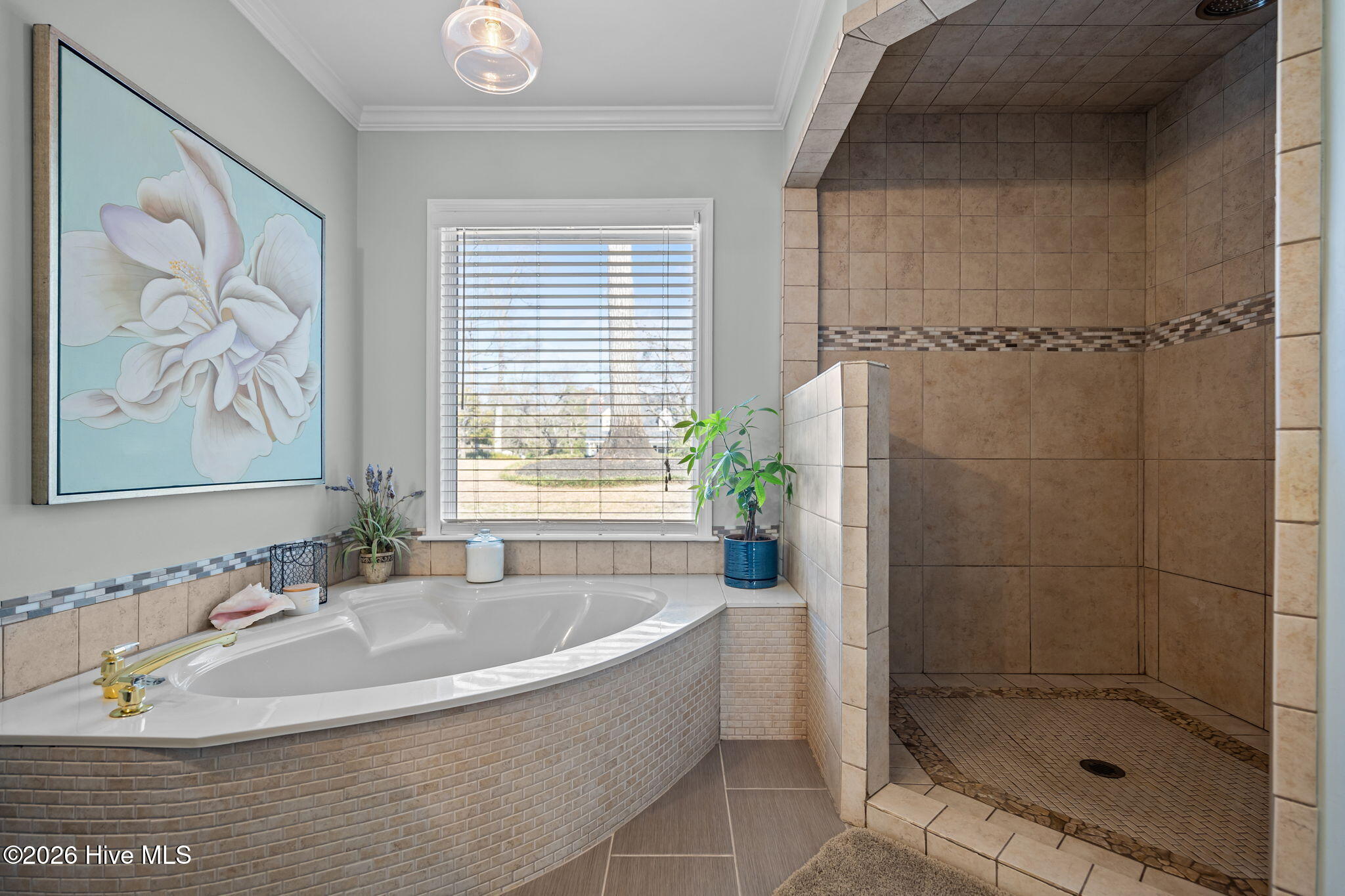 100552637 | Photo 22