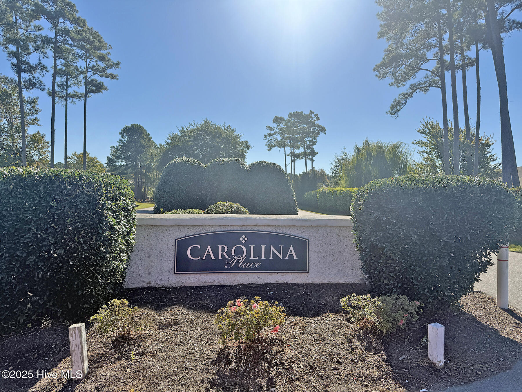 100537357 | Photo 46