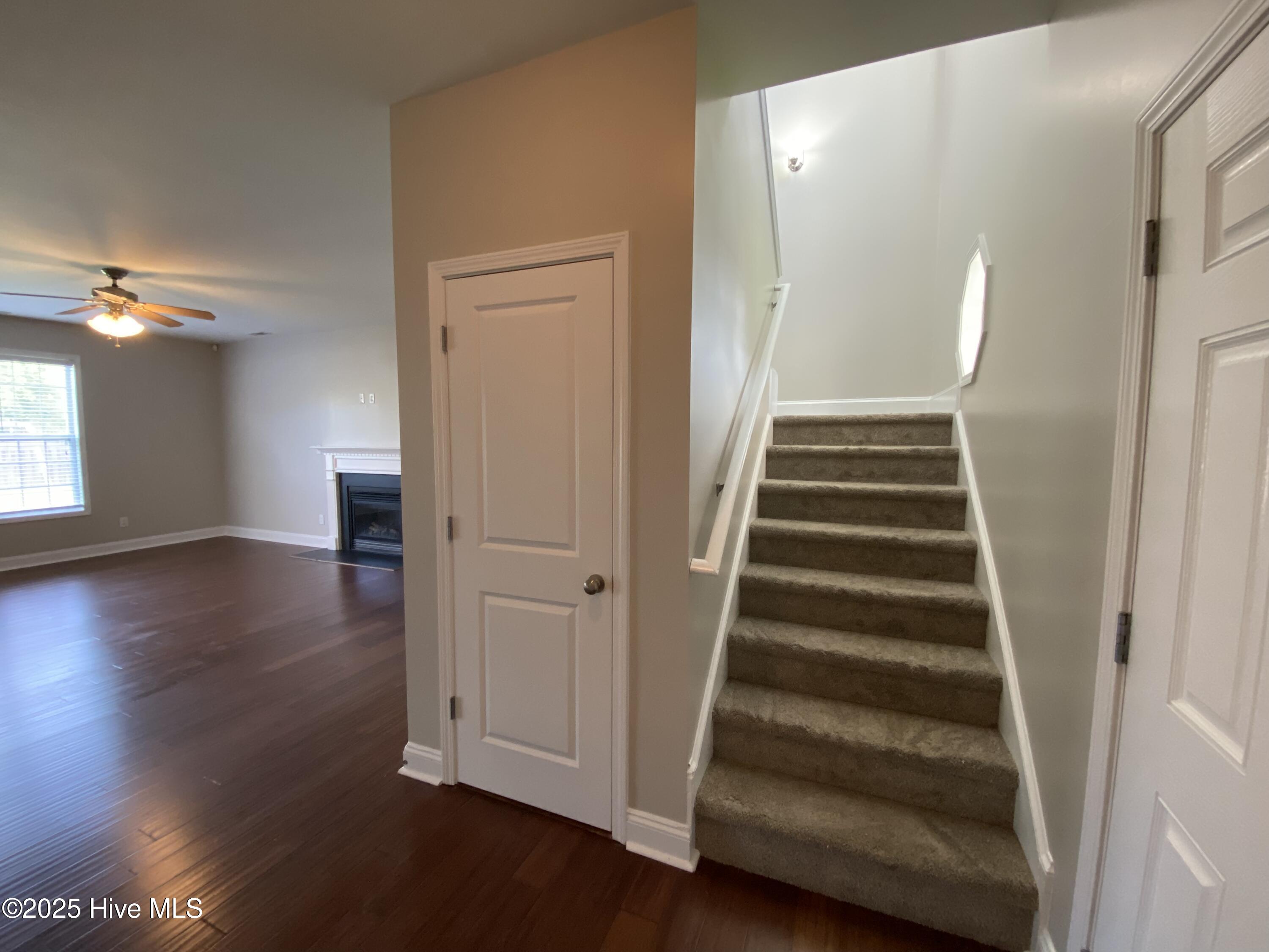 100566817 | Photo 14