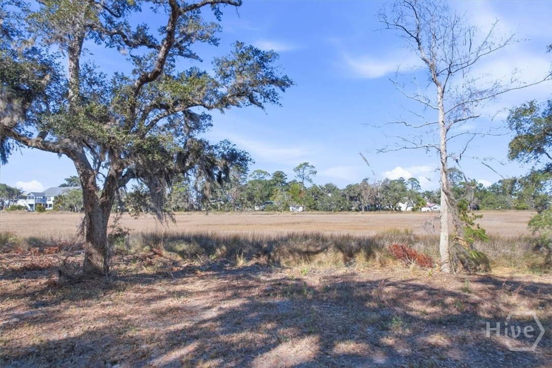 LOT 6 Bermuda Bluff Lane, Midway, GA, 31320