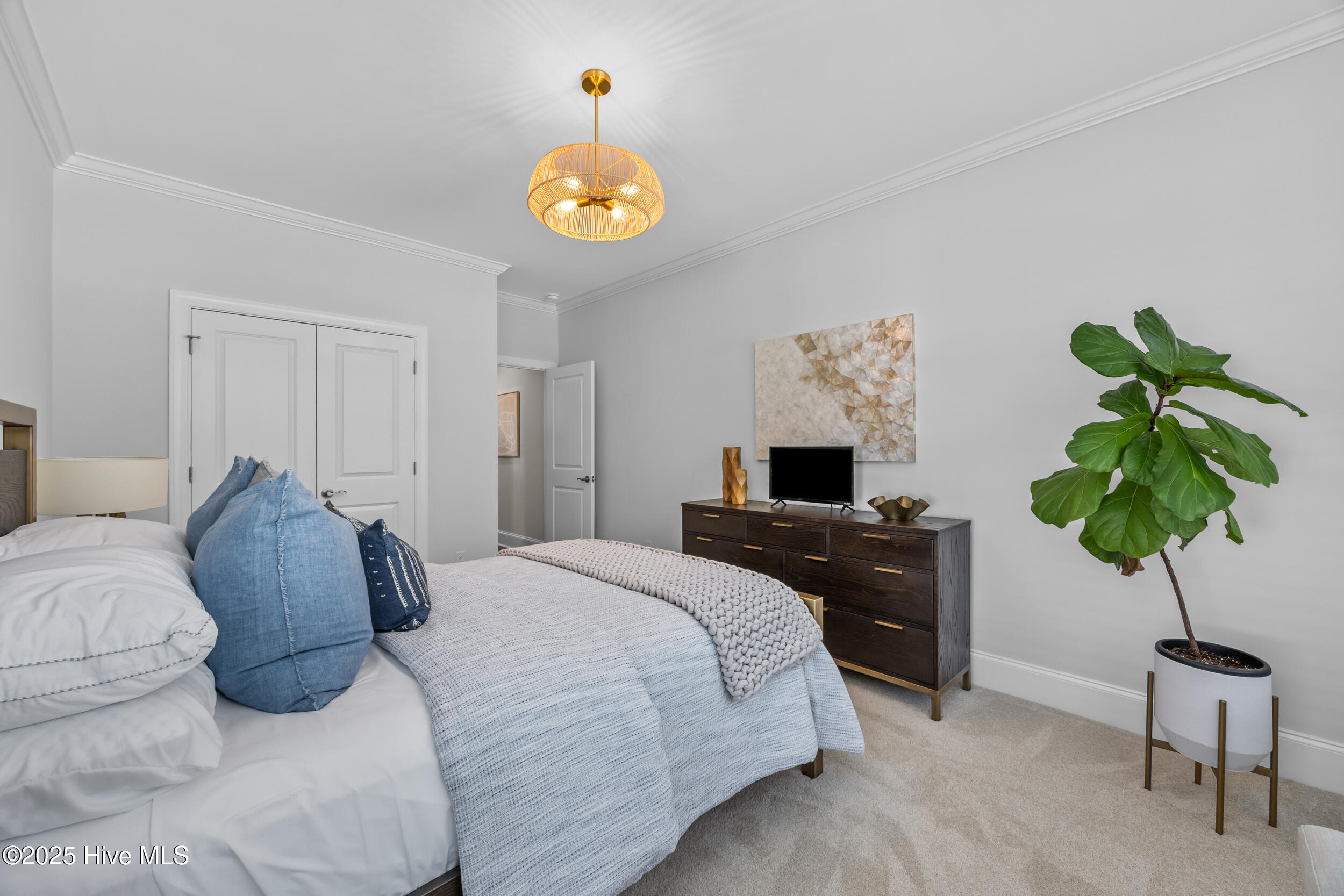 100515249 | Photo 39