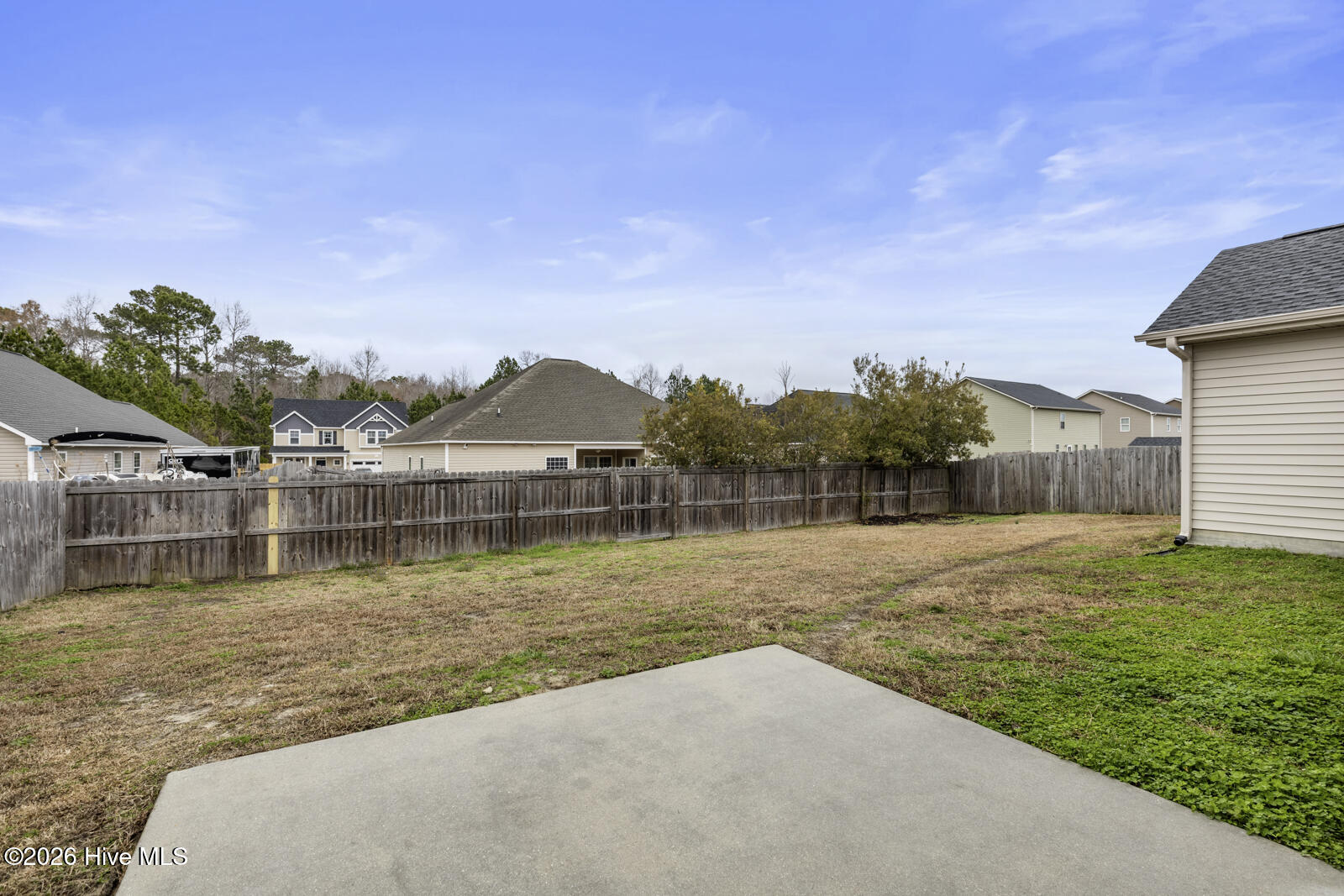 100557134 | Photo 28