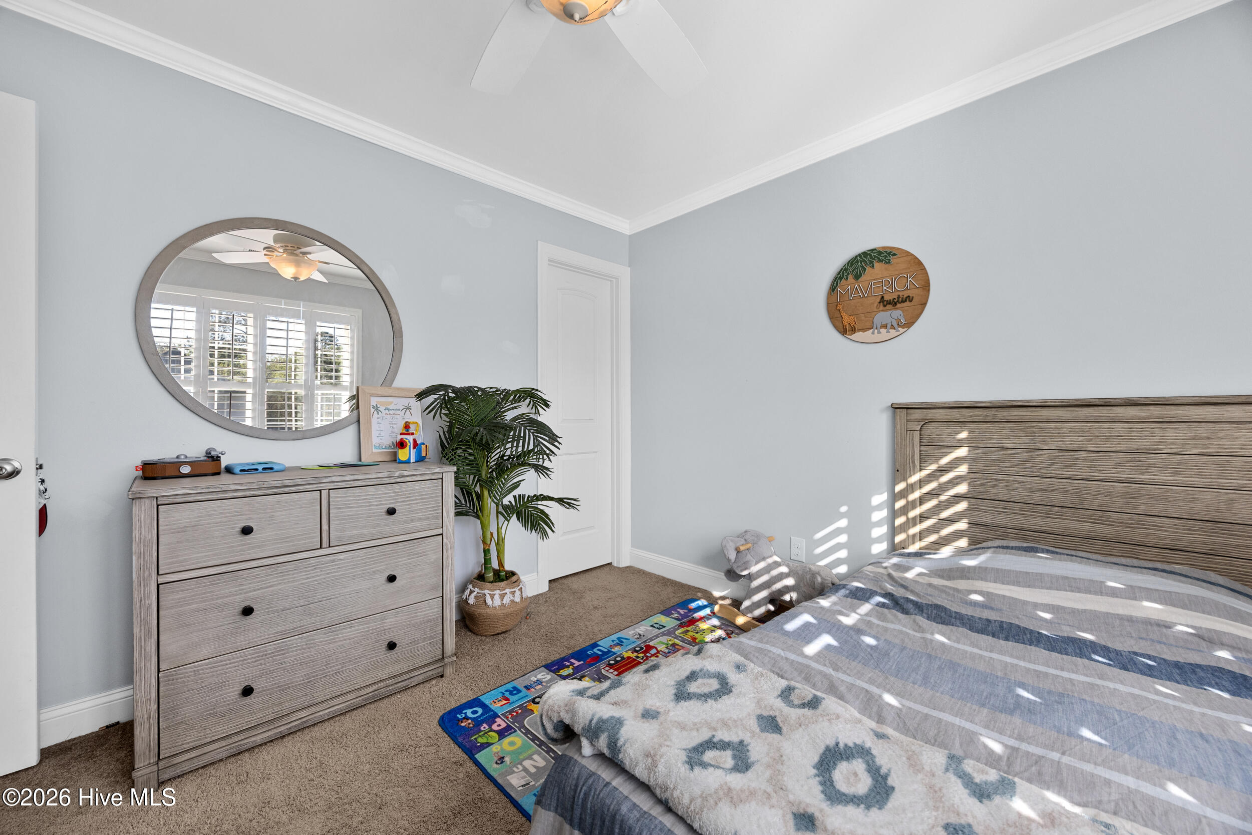 100564853 | Photo 31