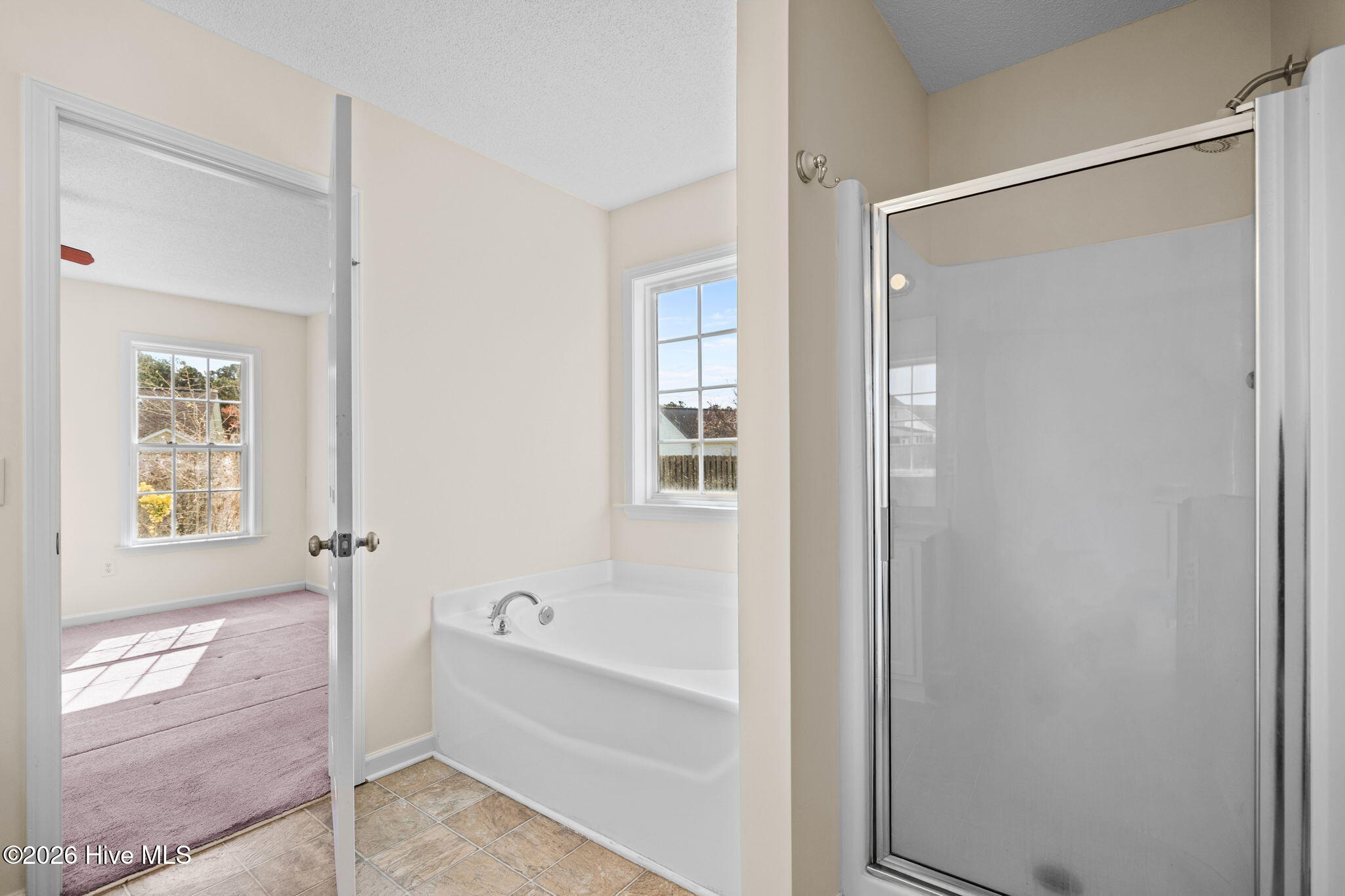 100560946 | Photo 19