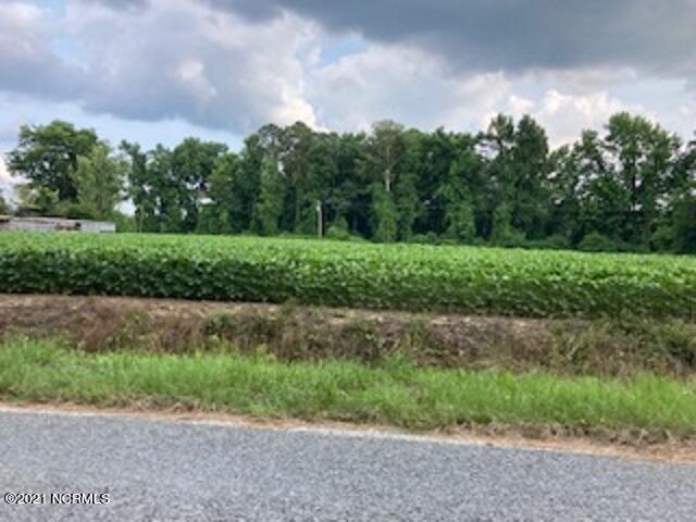 Homes for sale in Turkey, NC | 0 Waycross Rd, Turkey, NC 28393 | MLS# 100293878