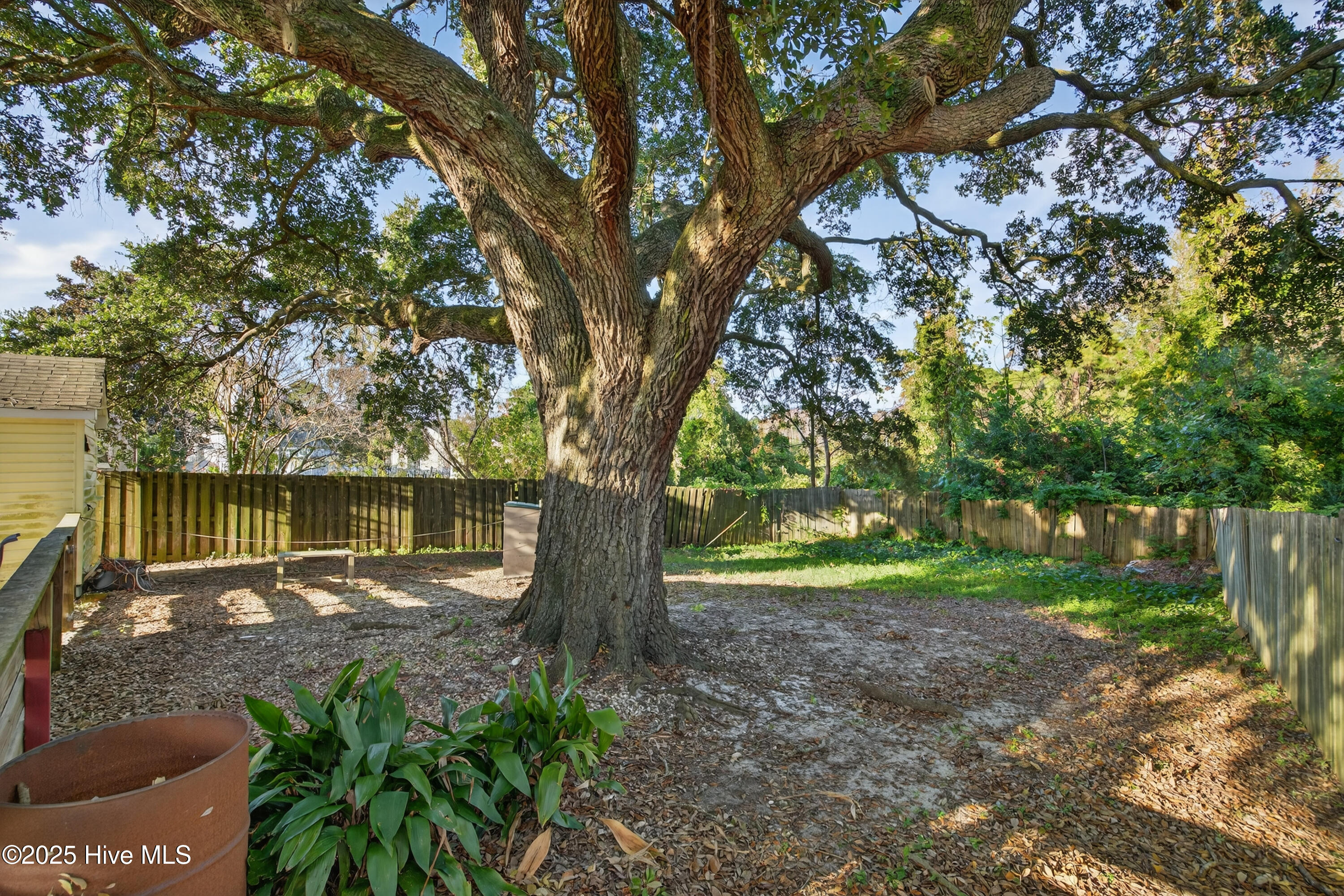 100541929 | Photo 35