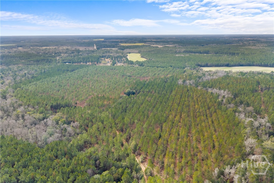 1000 Old River Road S, Brooklet, GA, 30415