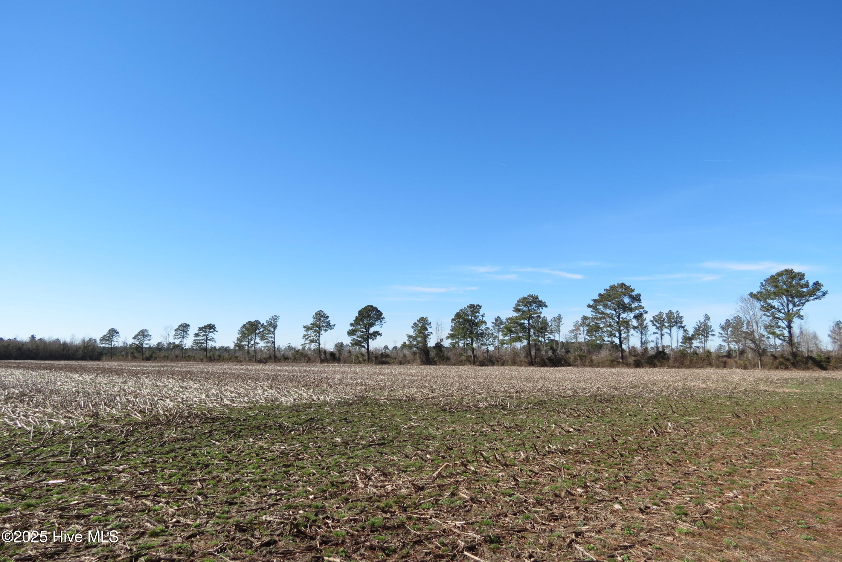 0 Neals Creek Road,Bayboro