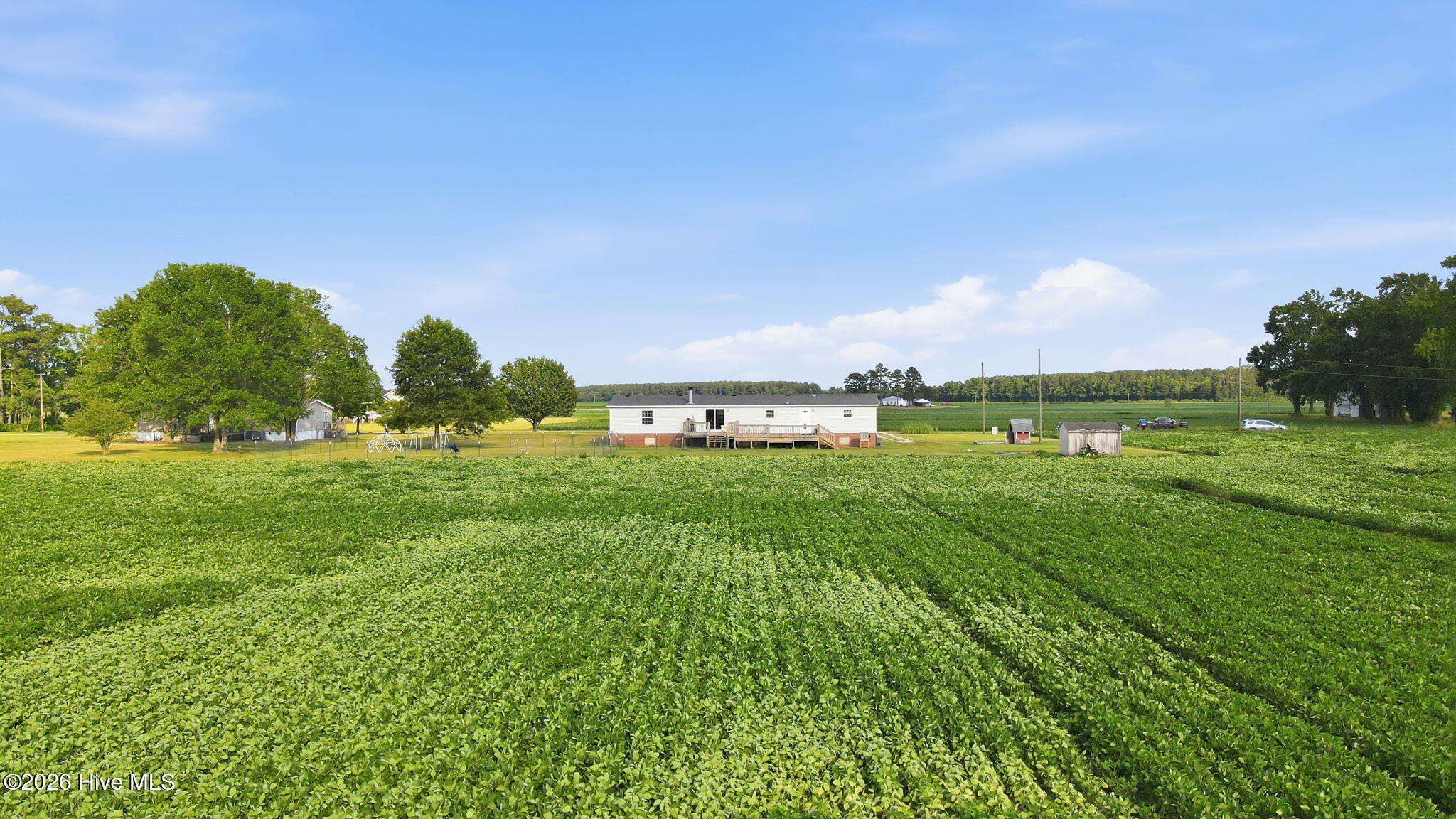 252 Heath Swamp Road,Cove City