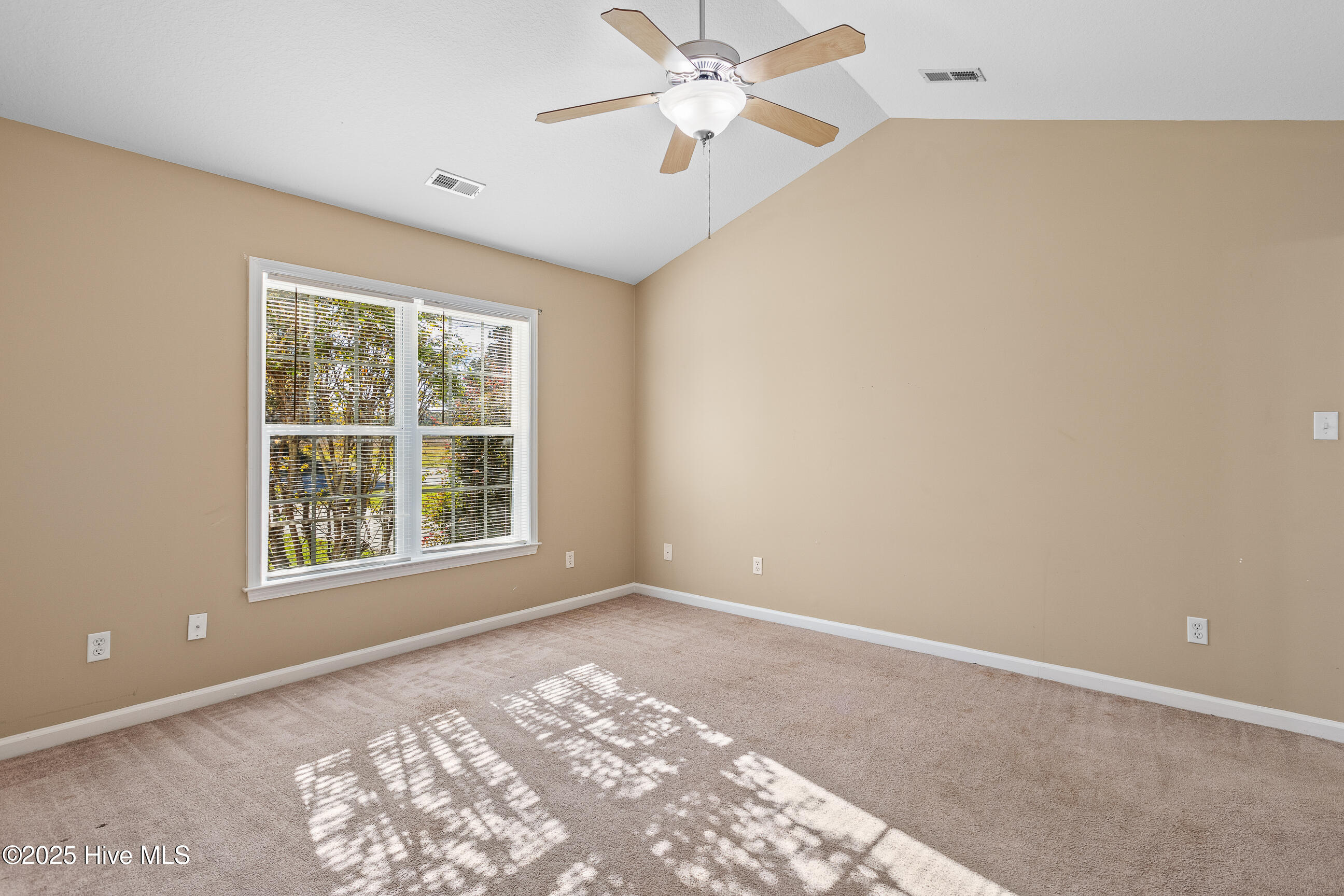 100541118 | Photo 12