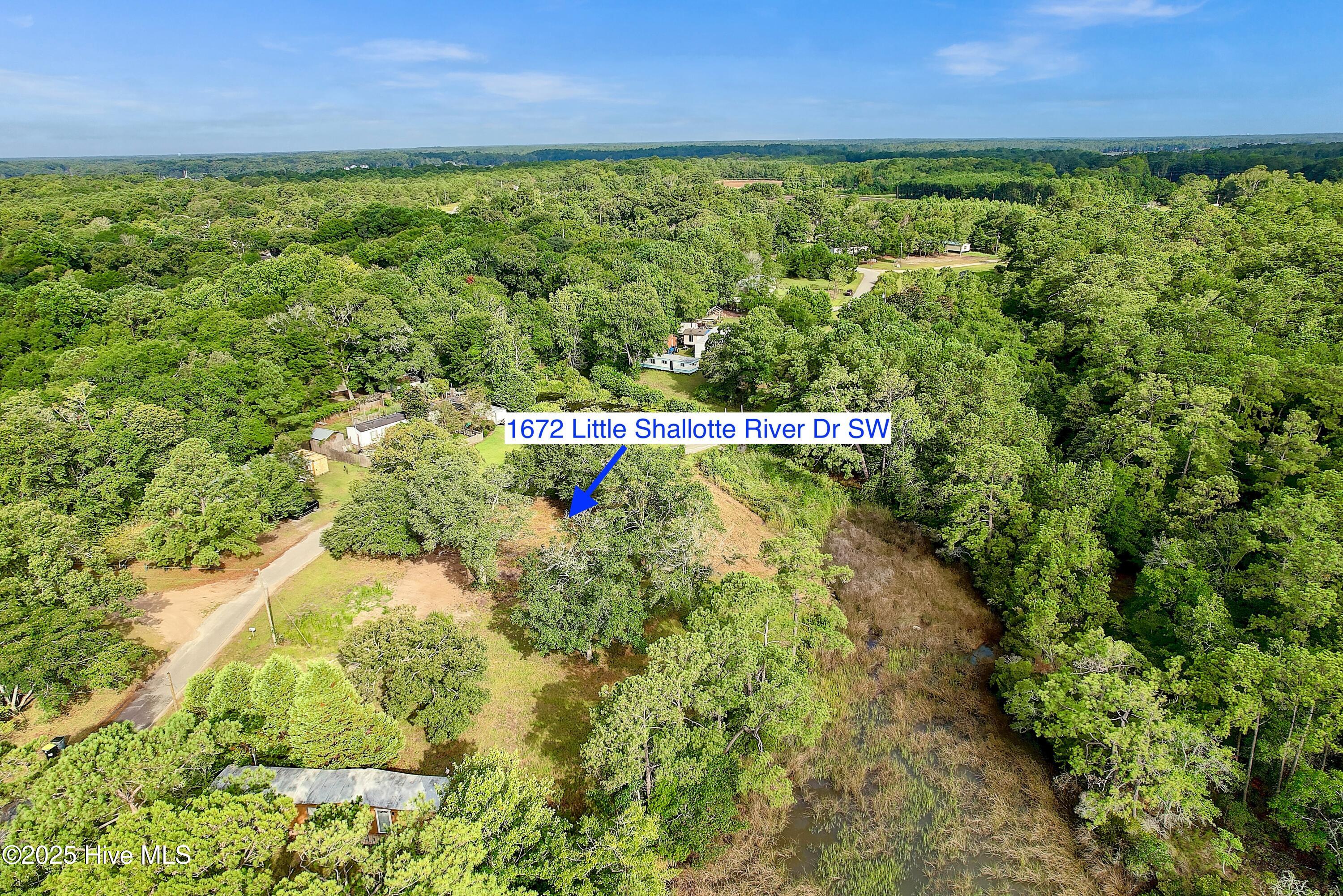 100521467 | Photo 16