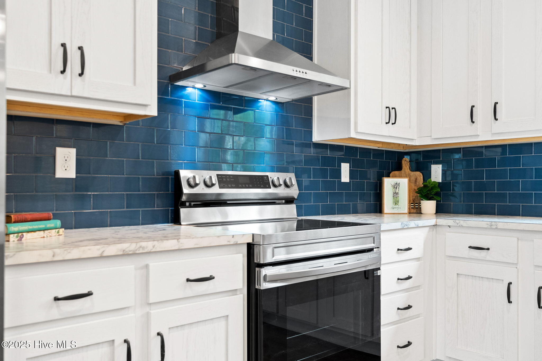 100558288 | Photo 11