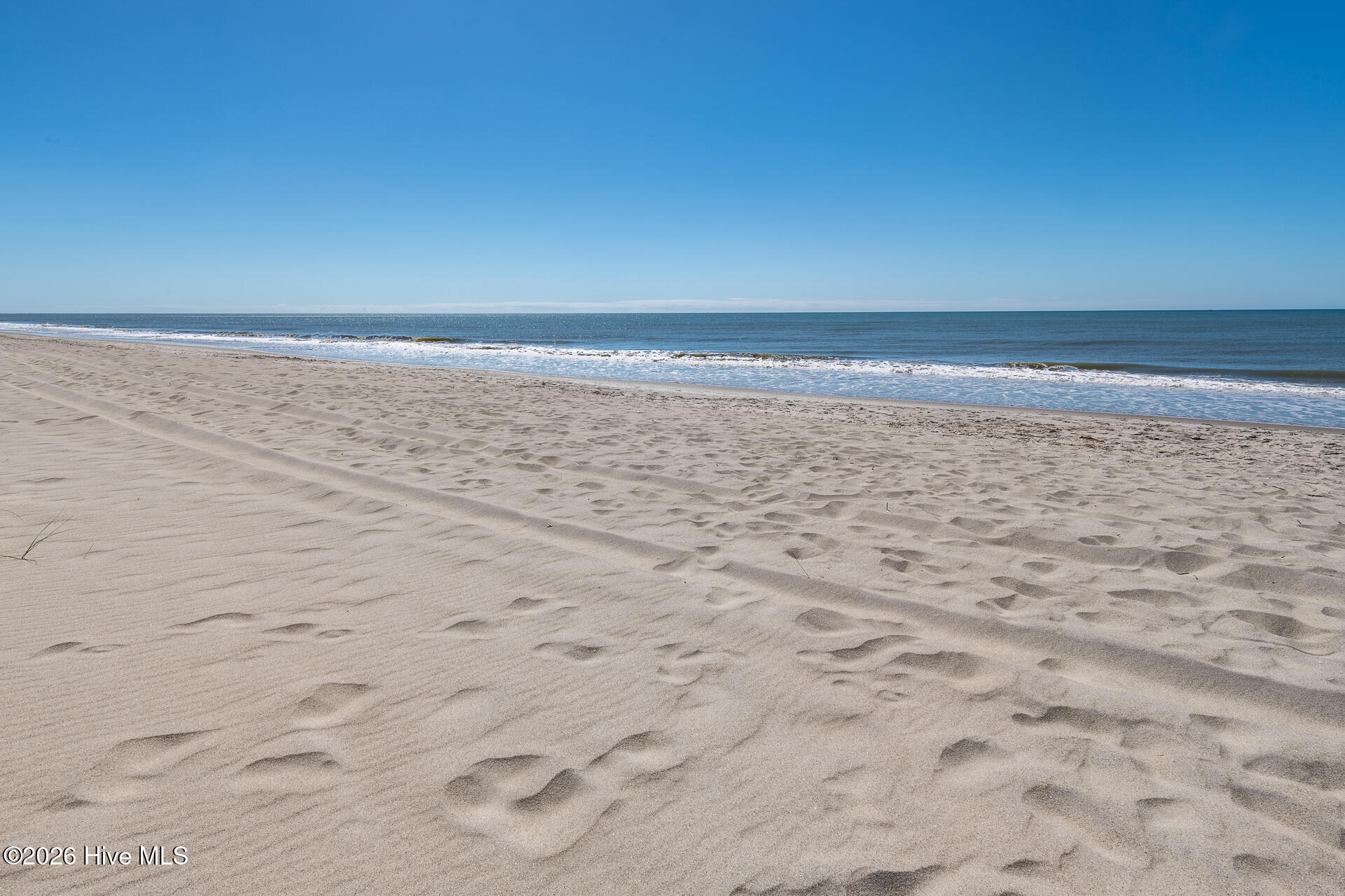 100568096 | Photo 13