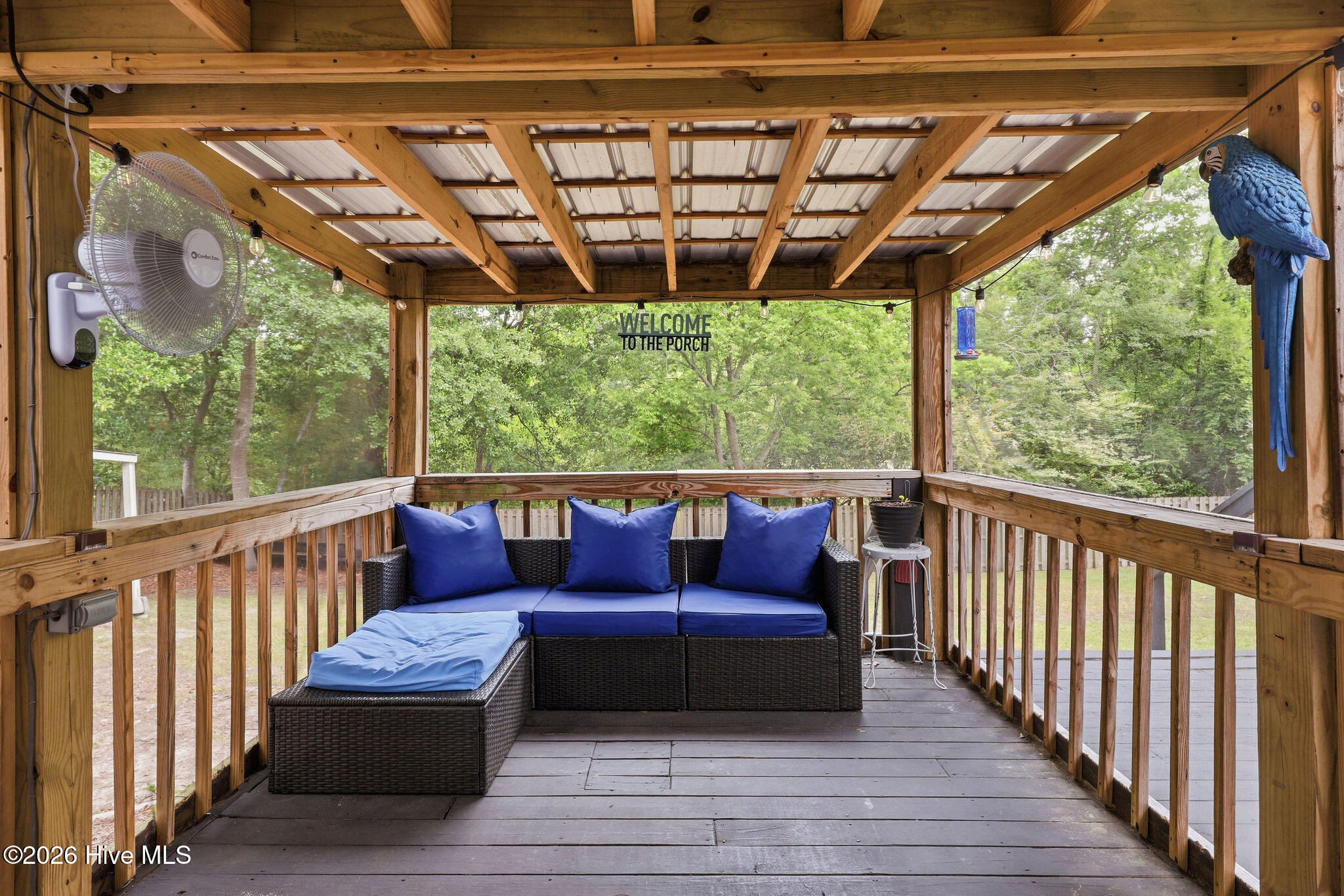 100570539 | Photo 34