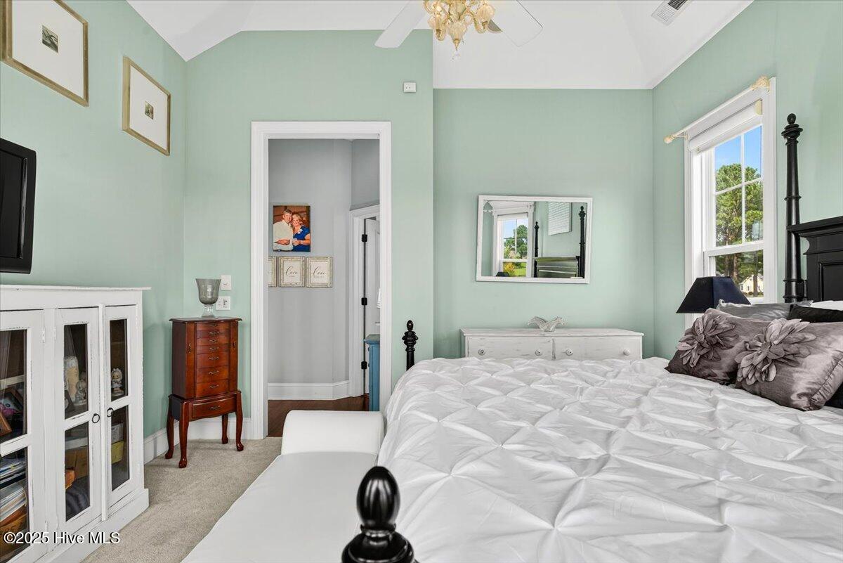 100525399 | Photo 17