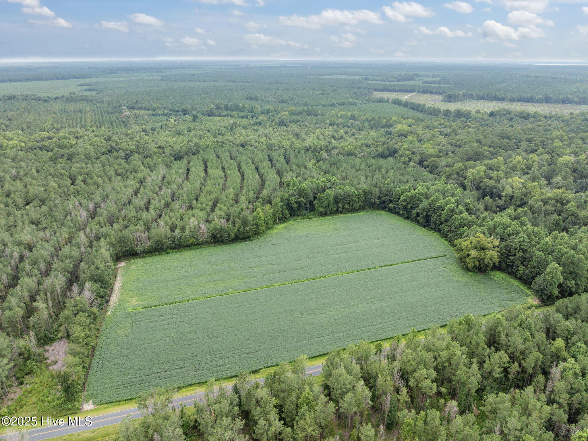 1-web-or-mls-DJI_0715