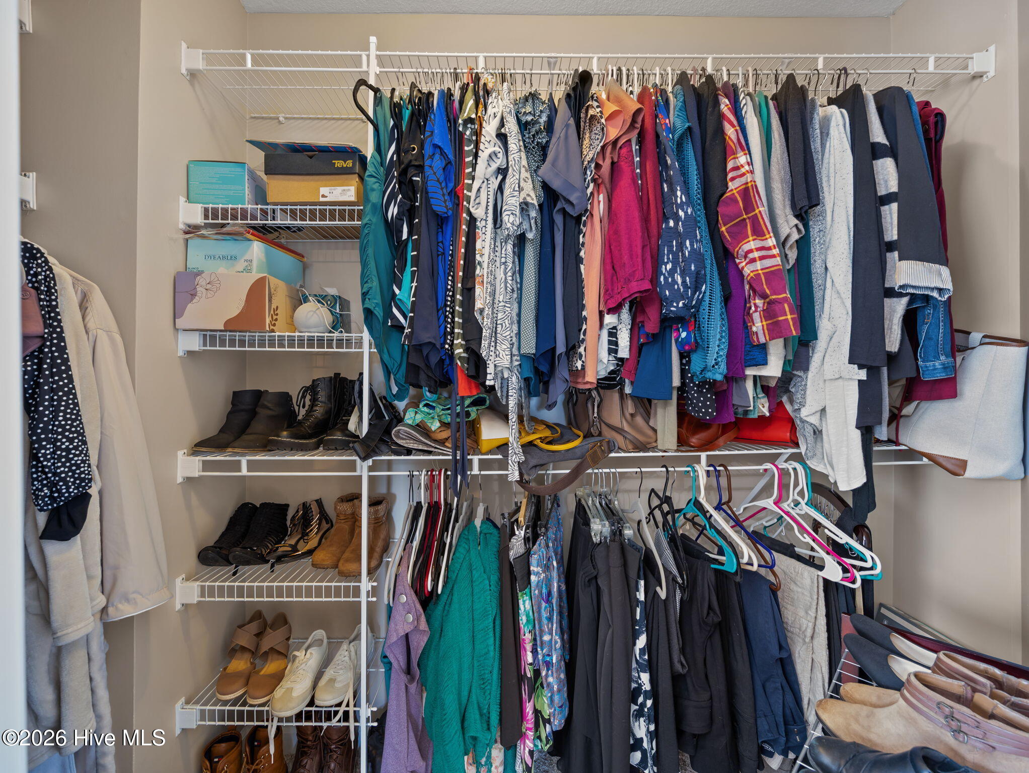 100569646 | Photo 32