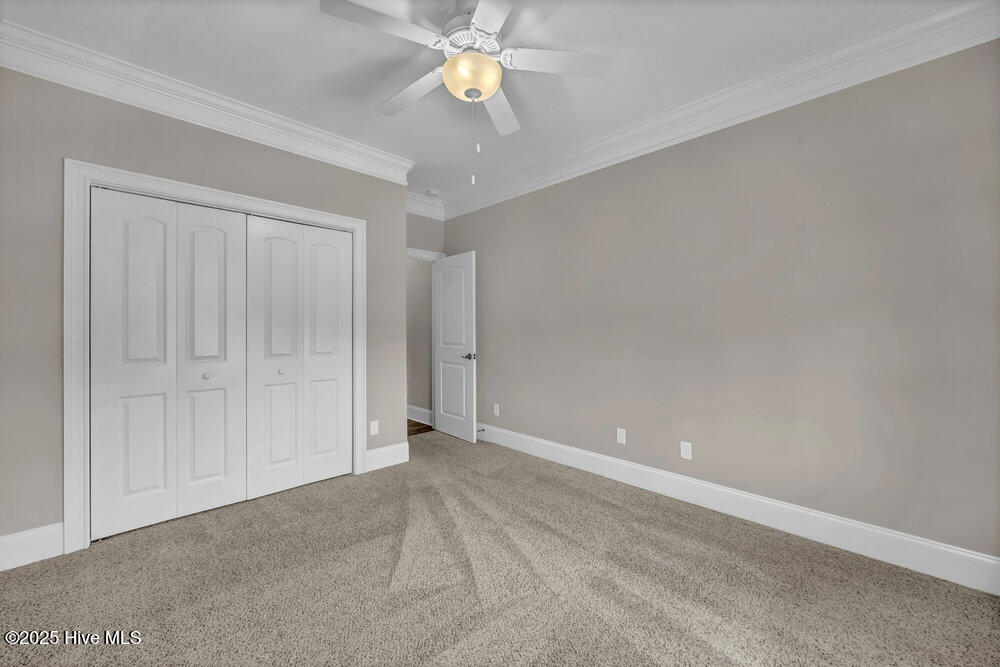 100539818 | Photo 25