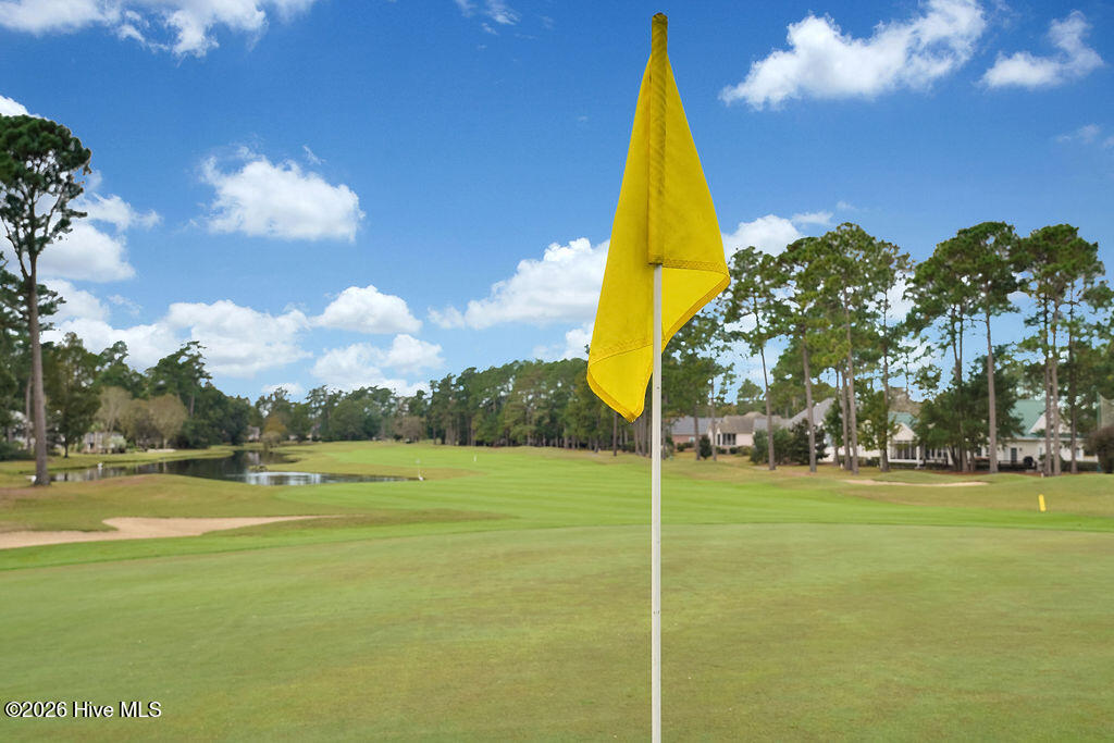 100567236 | Photo 28