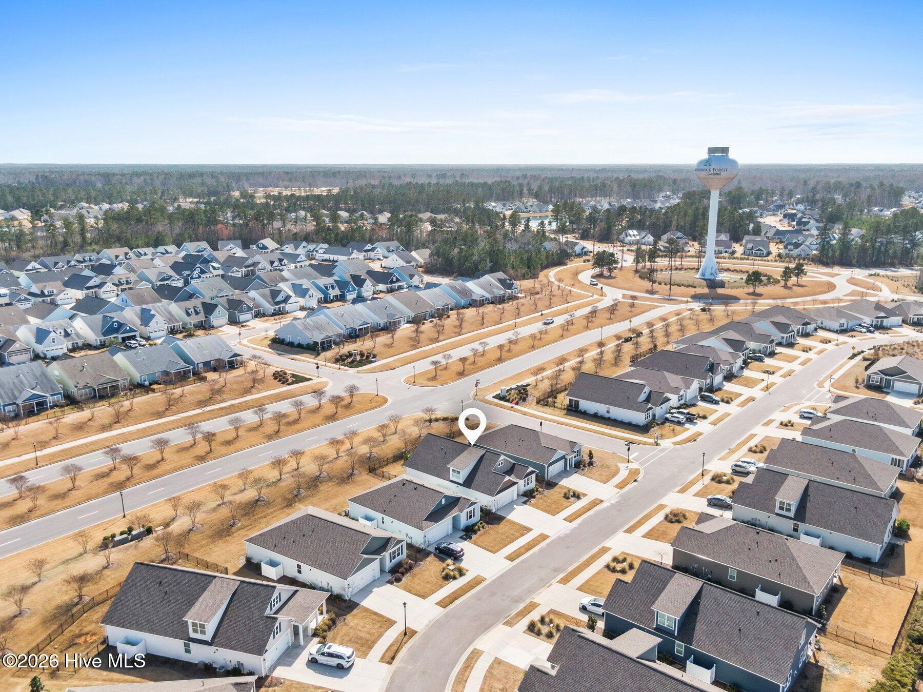 100558018 | Photo 35