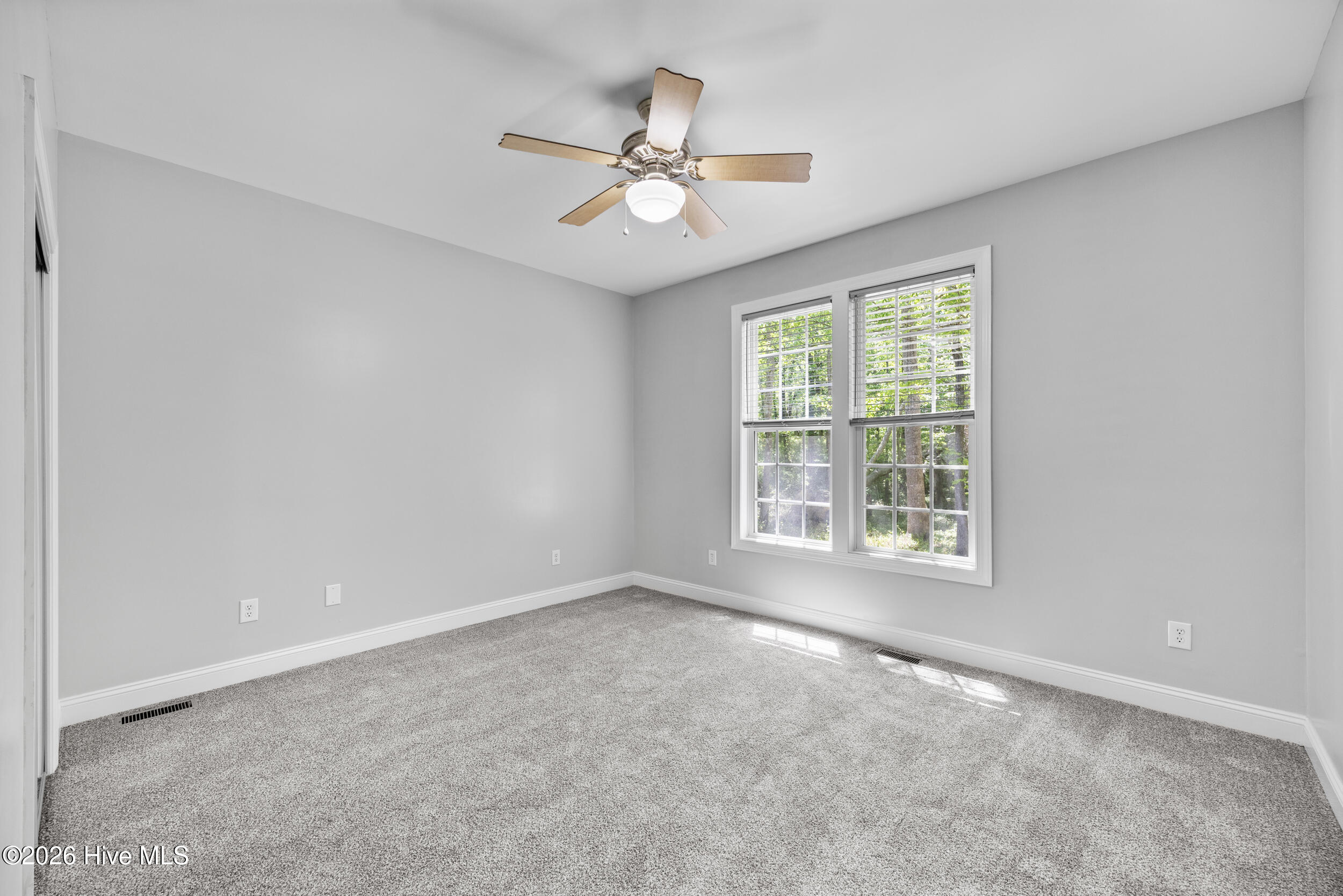 100569506 | Photo 33