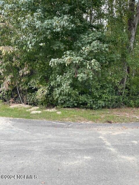 Homes for sale in Pinehurst, NC | 5 Raintree Ct, Pinehurst, NC 28374 | MLS# 100542981