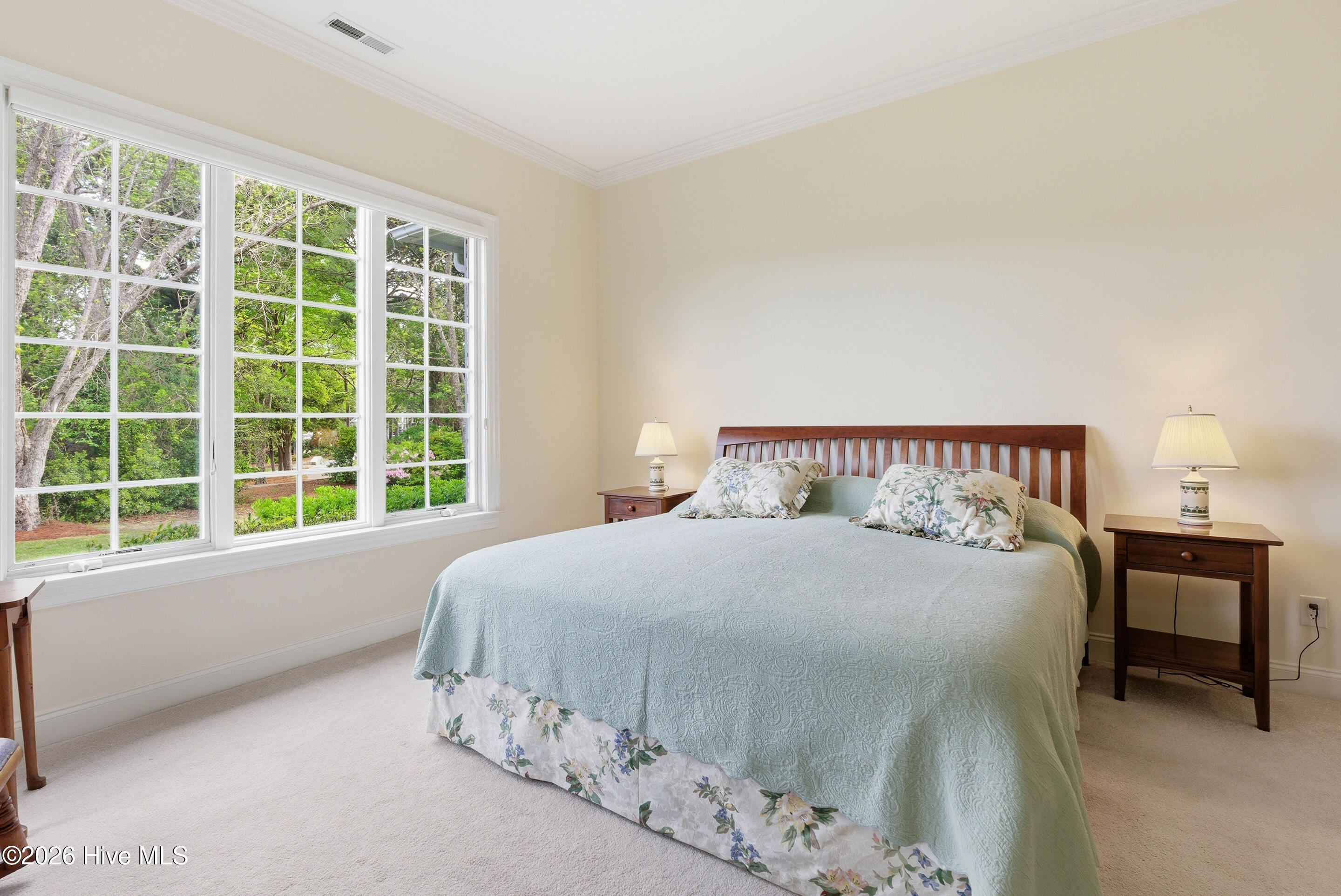 100568595 | Photo 25