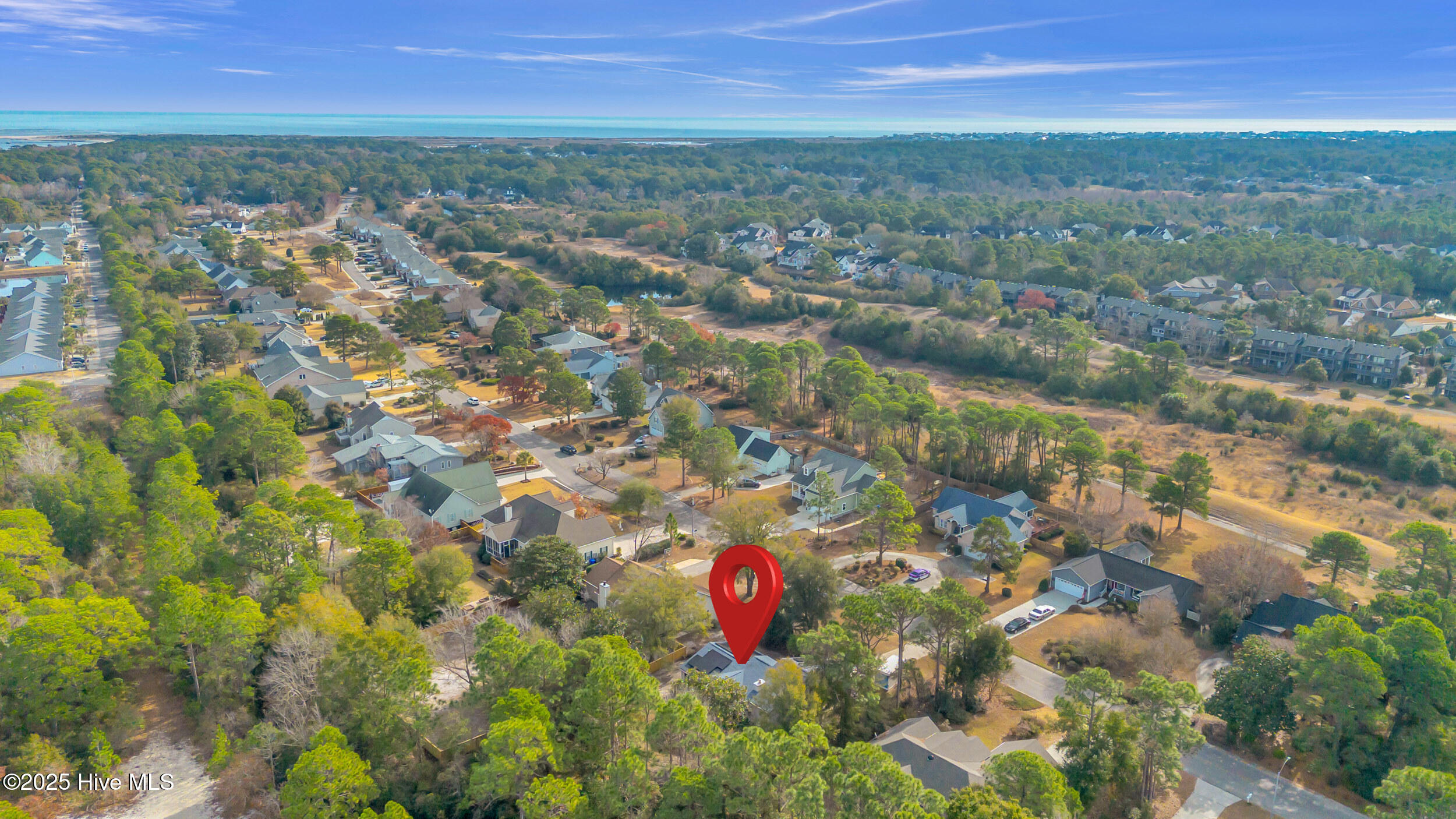 100546035 | Photo 38