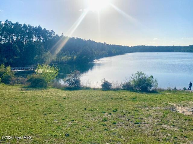 100566156 | Photo 42