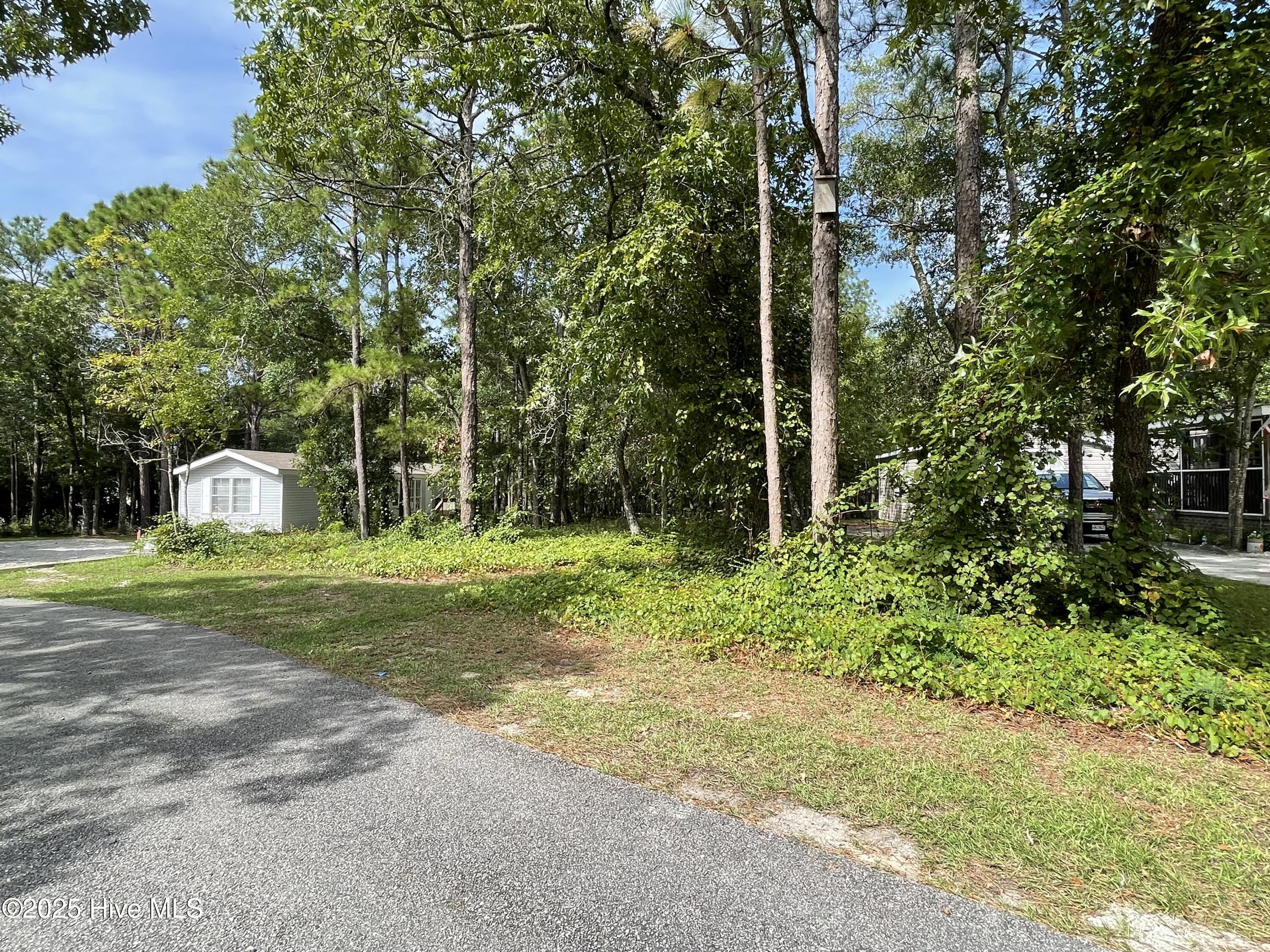 100526164 | Photo 14