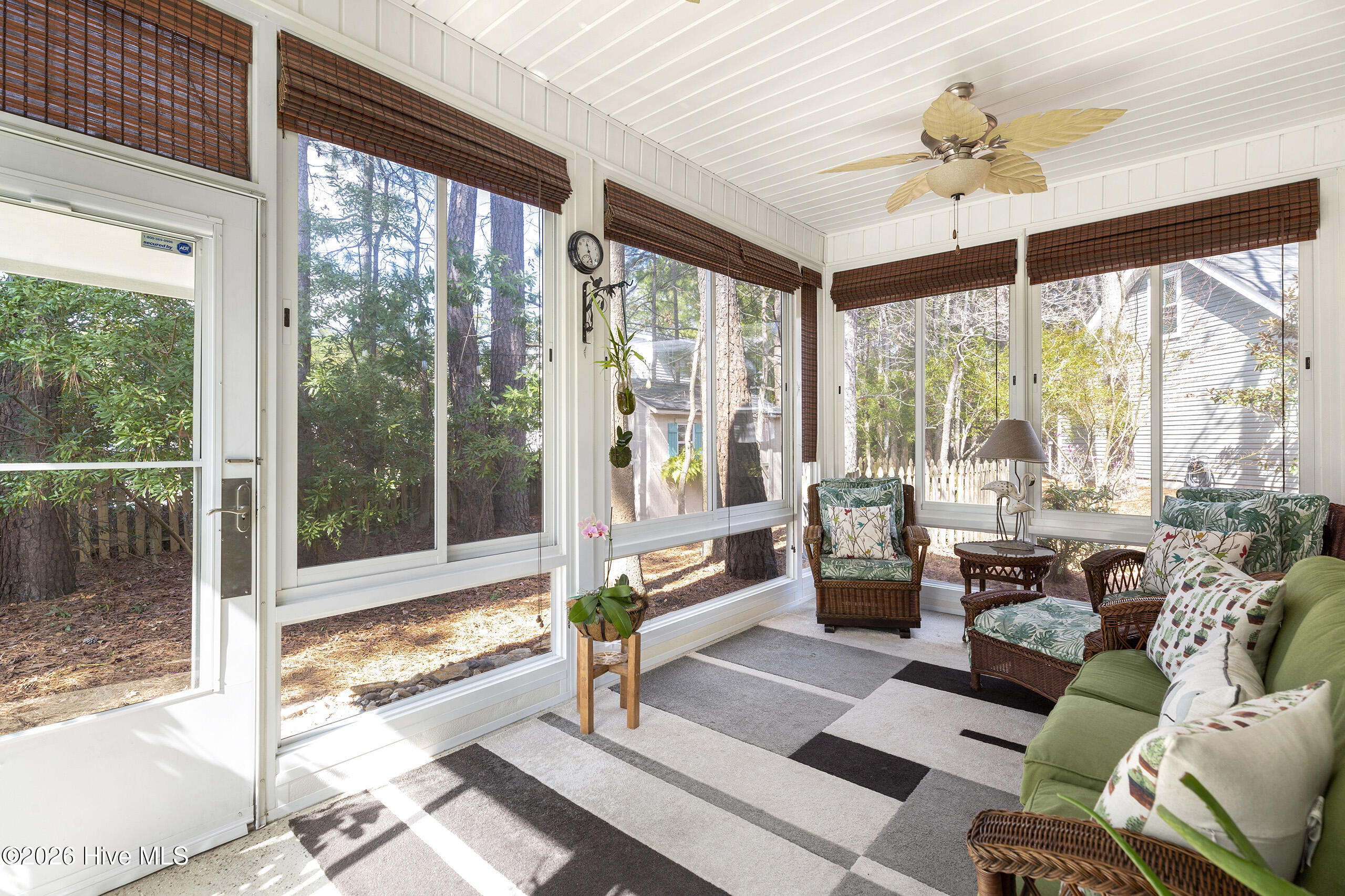 100558971 | Photo 21