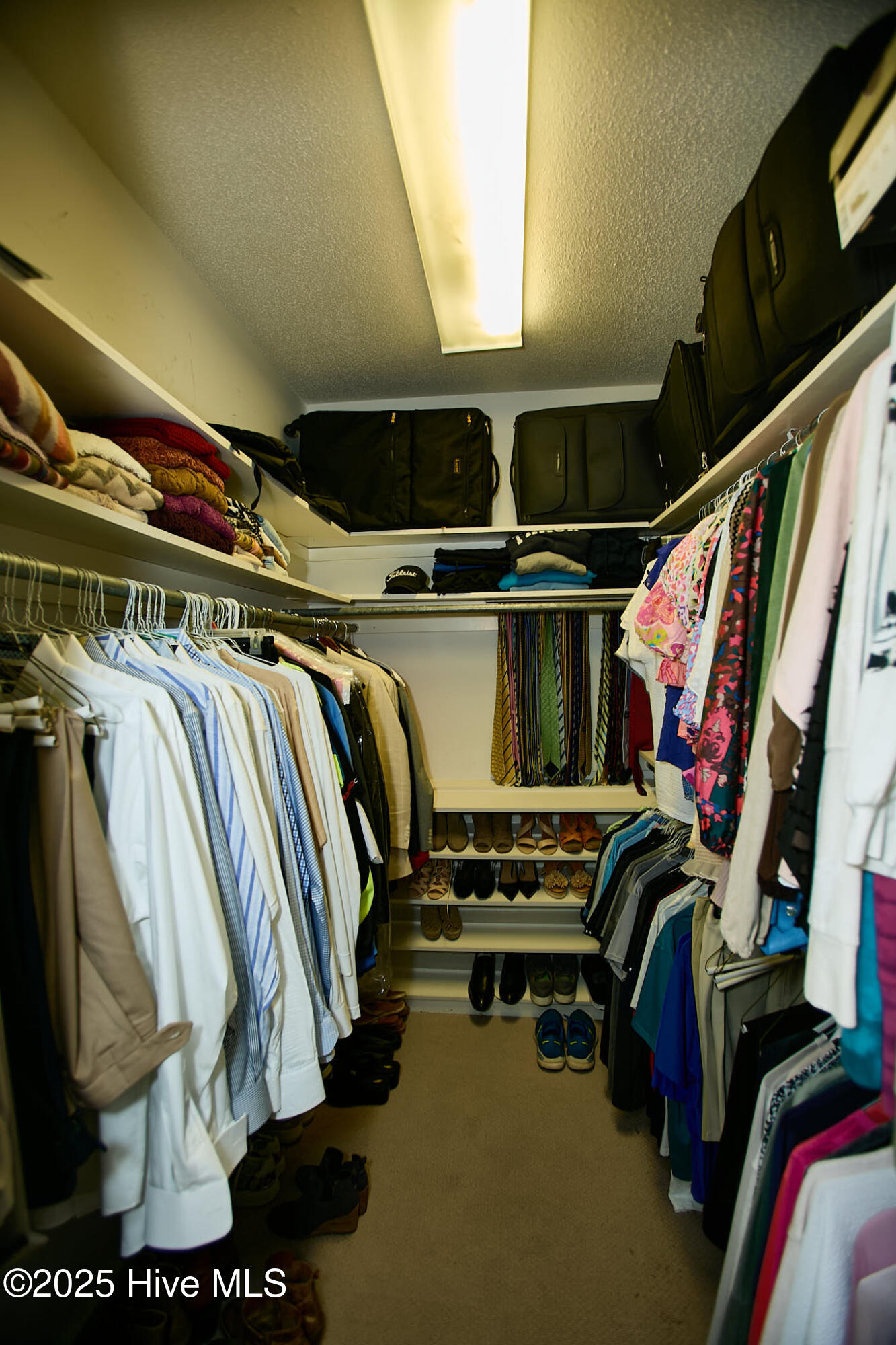 4502 Saint Andrews Drive N, Wilson, NC, 27896