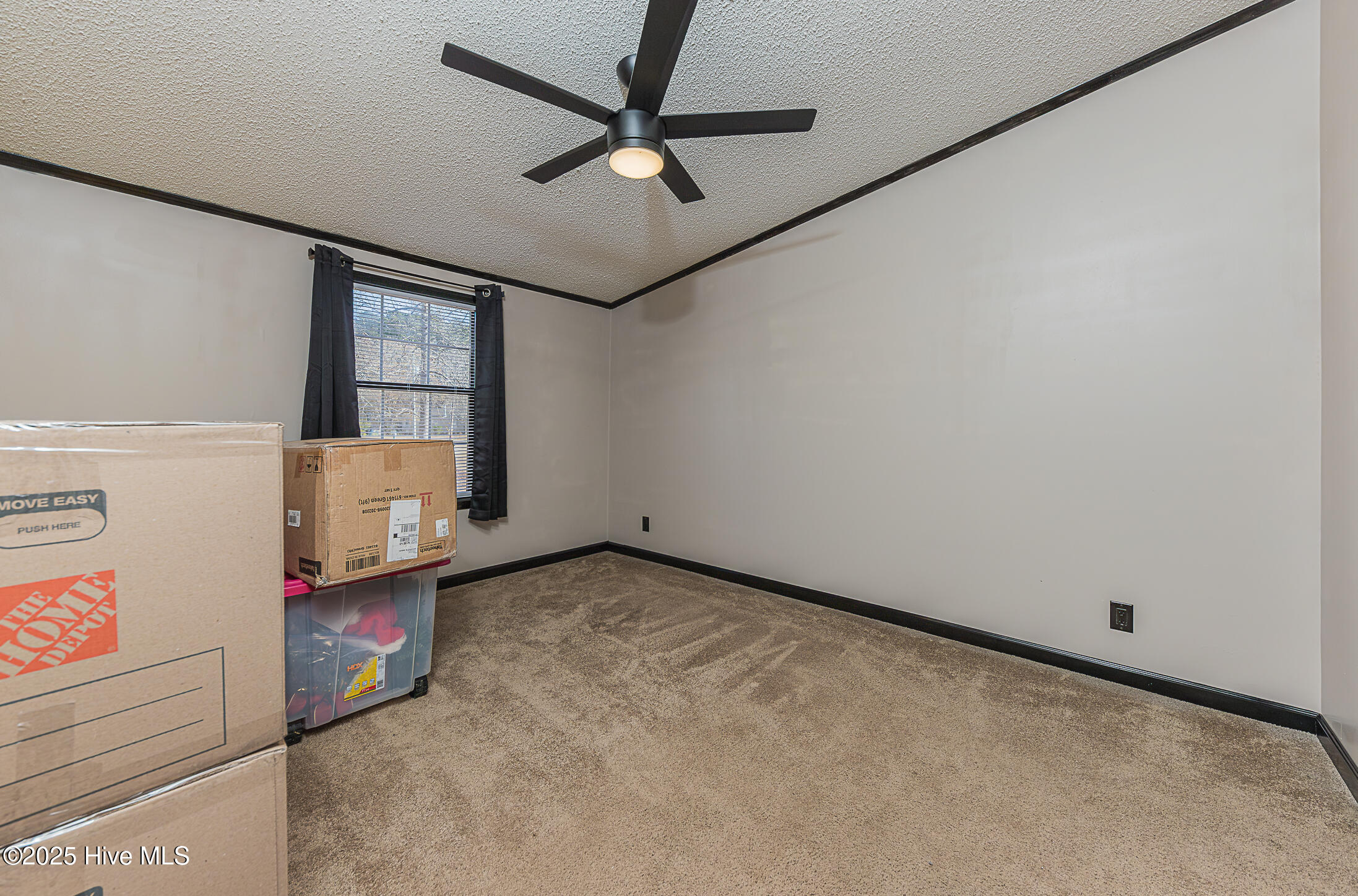 100546784 | Photo 39