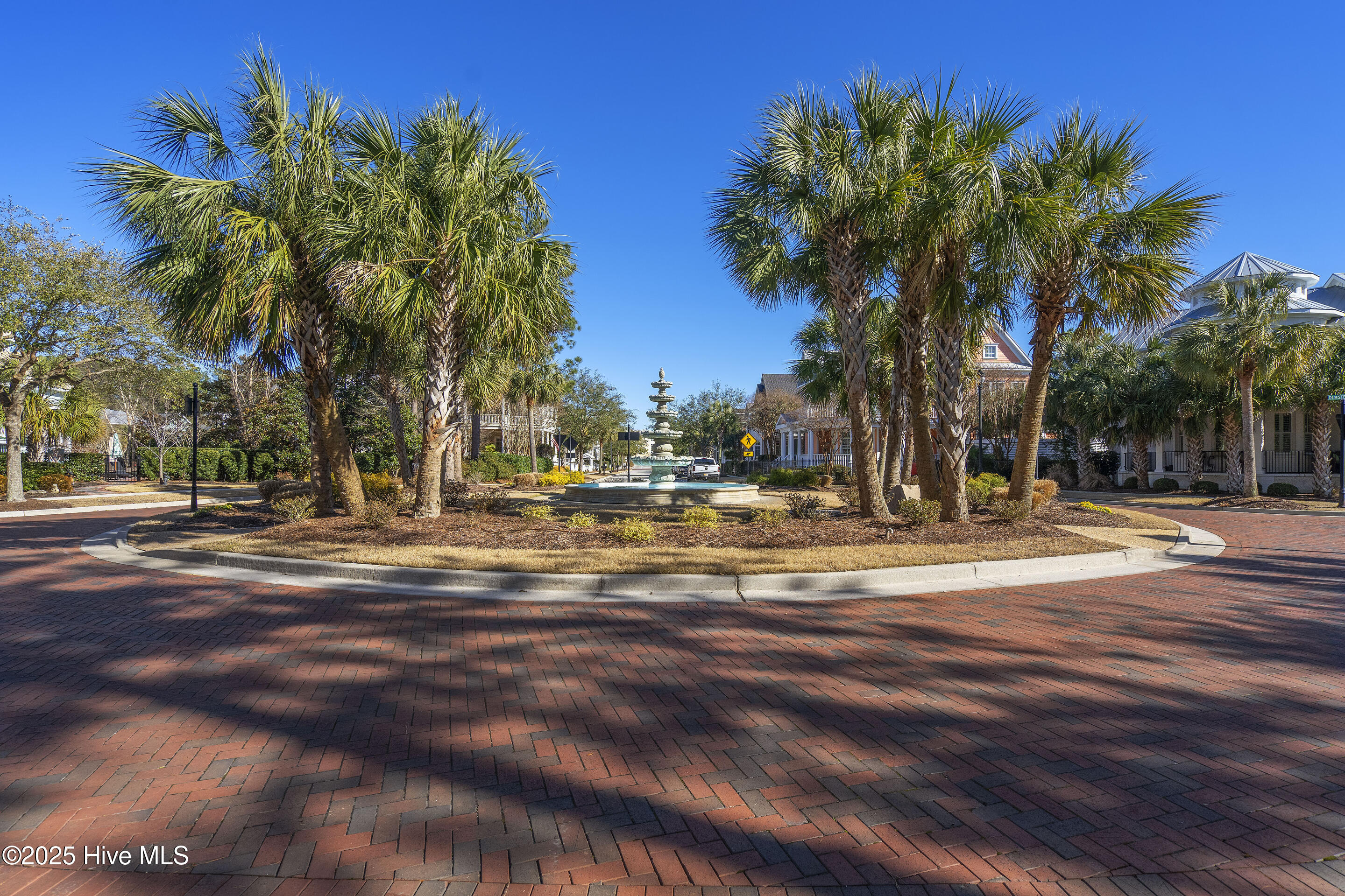 100537551 | Photo 67