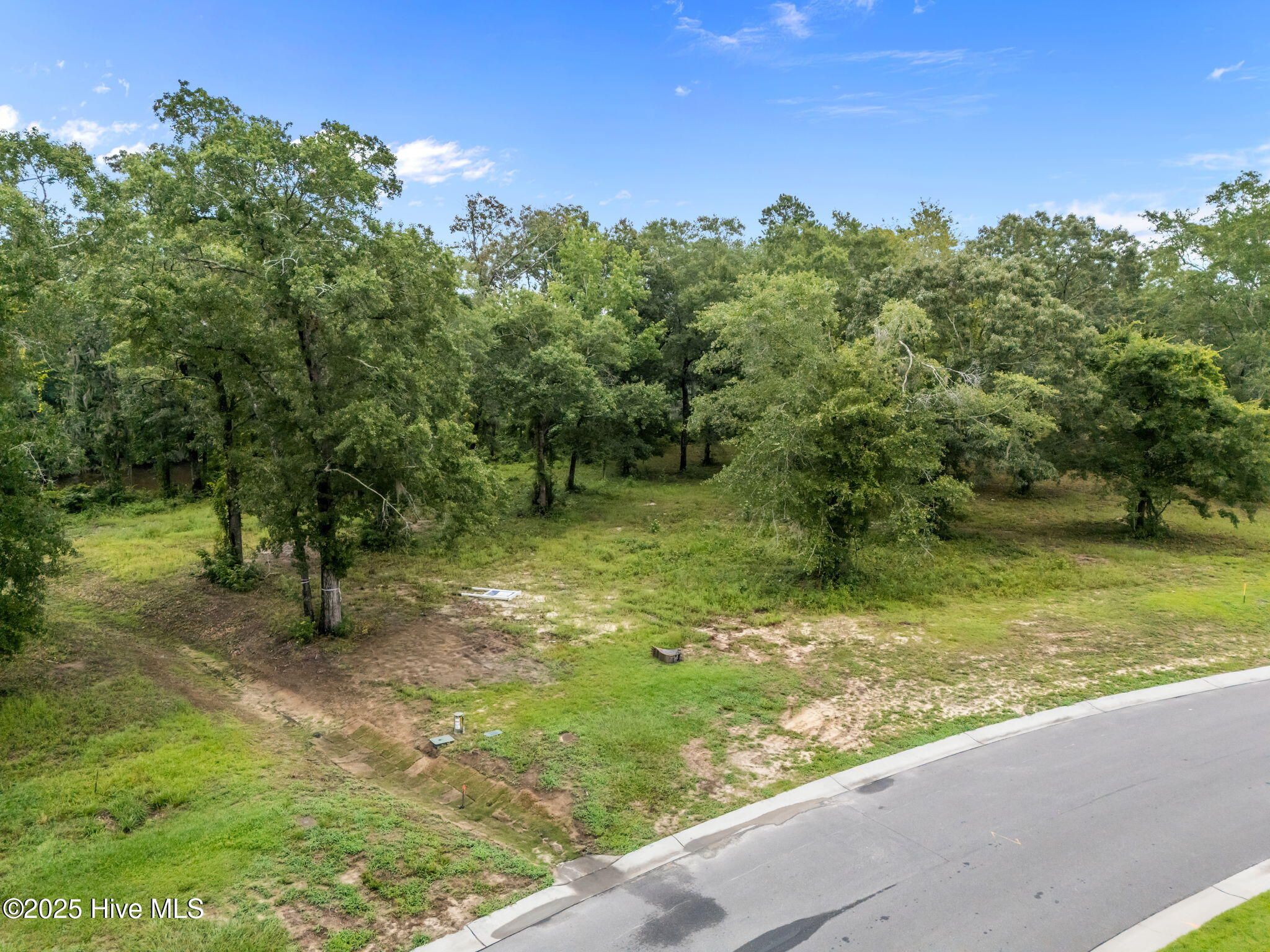 100523217 | Photo 14