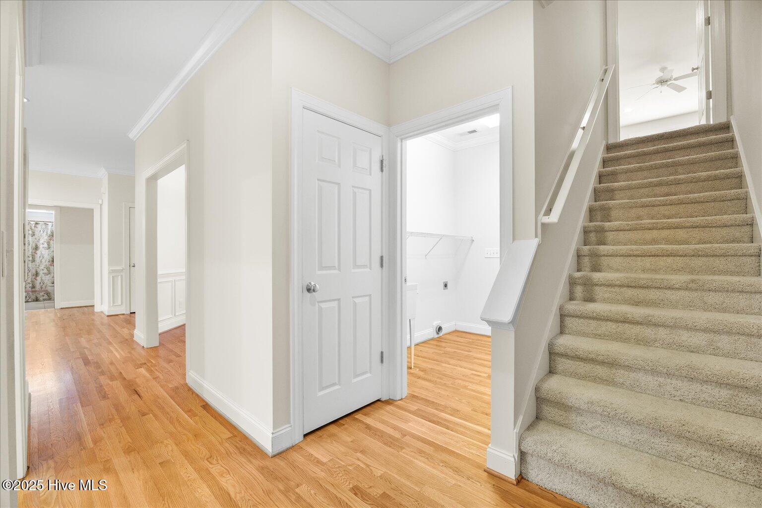 100532756 | Photo 18