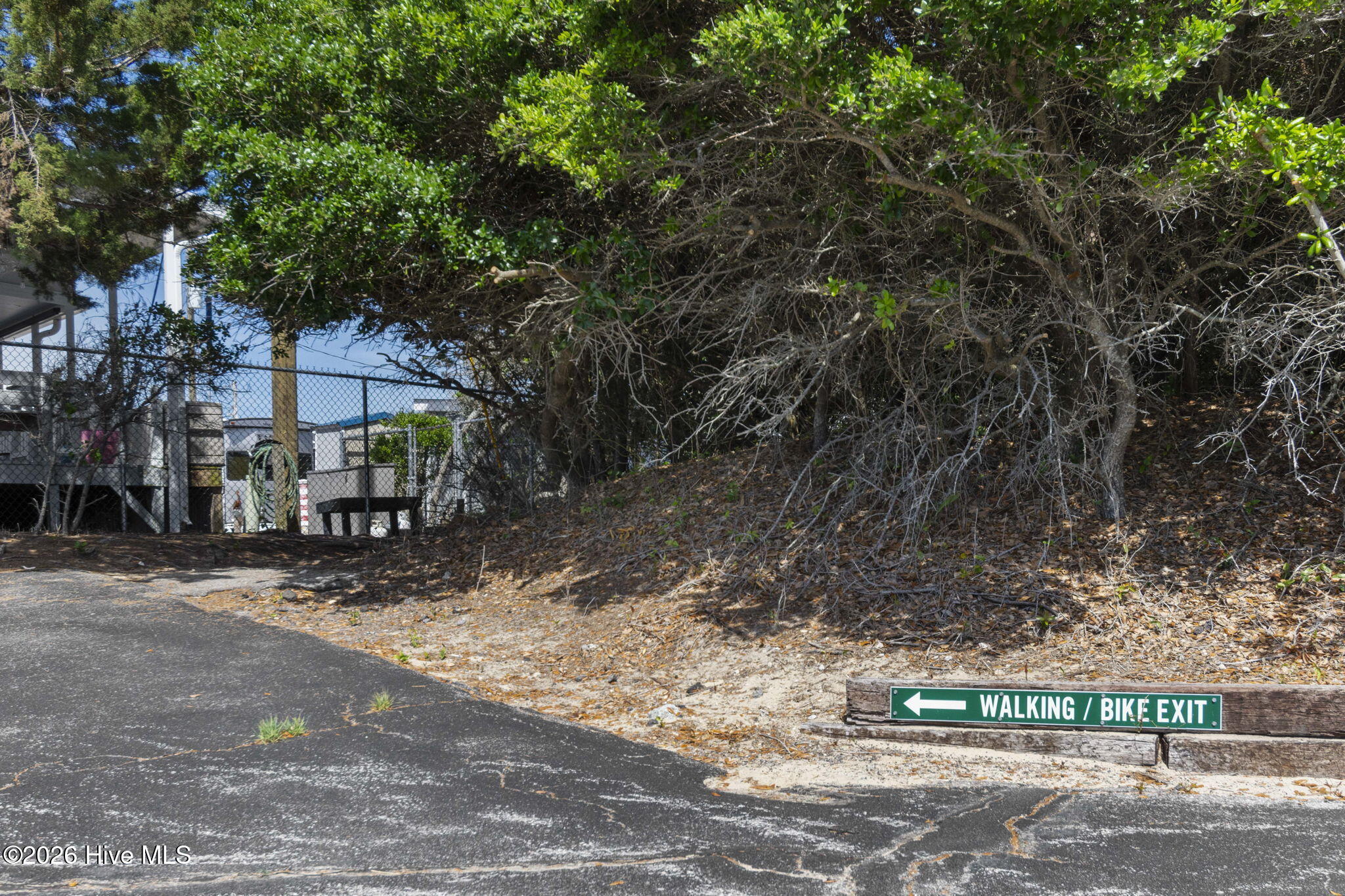 100565691 | Photo 77