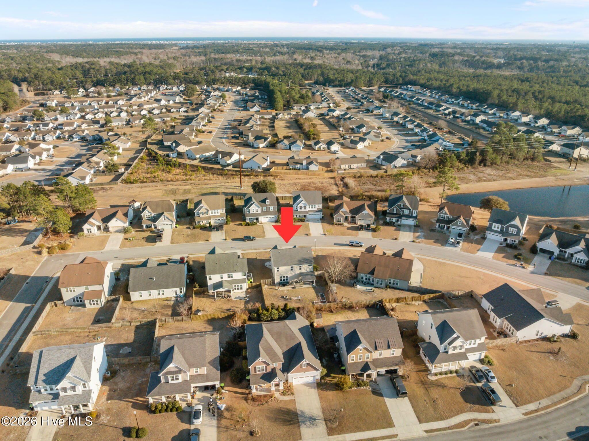 100557022 | Photo 41