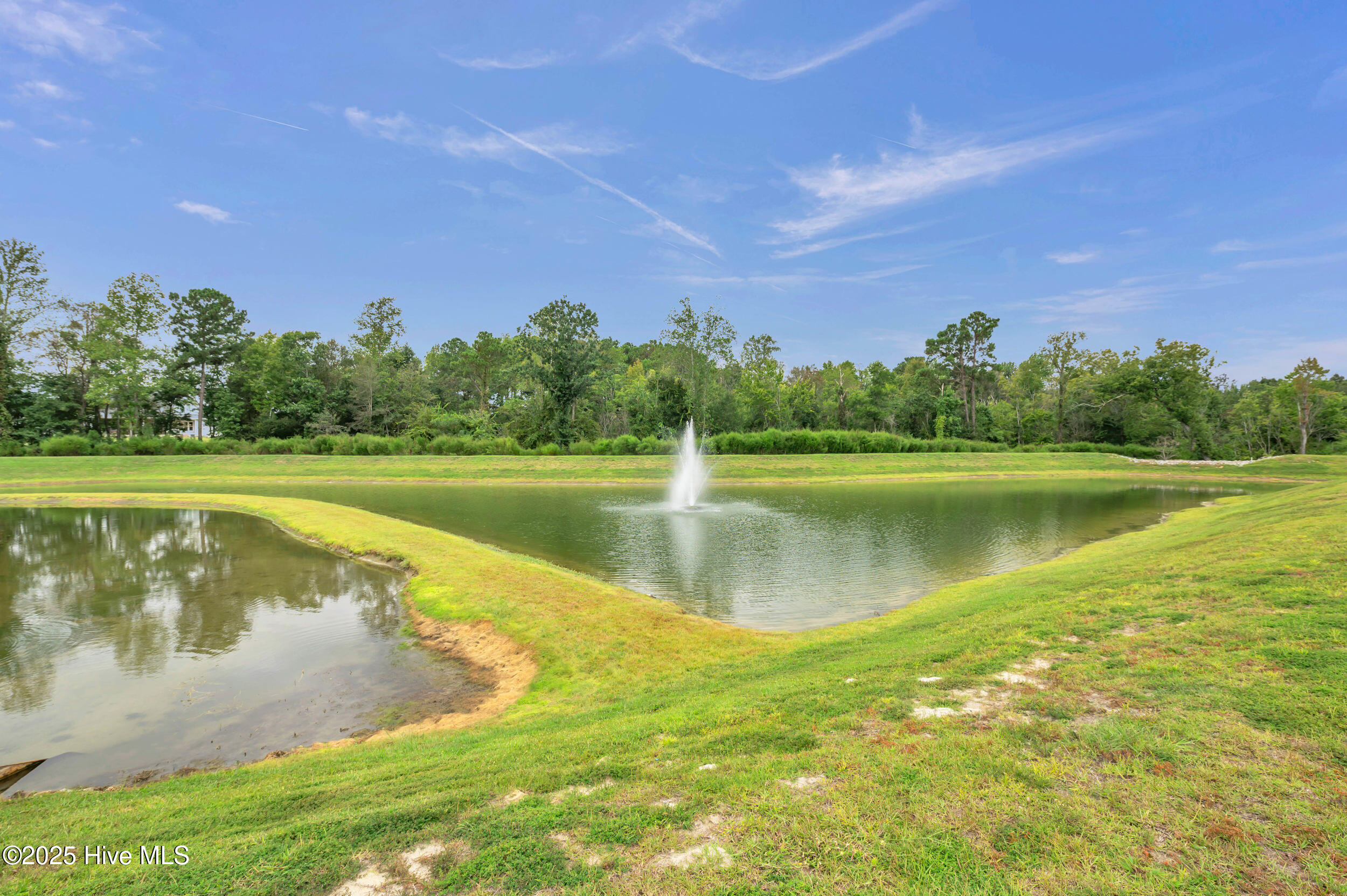 100529848 | Photo 92