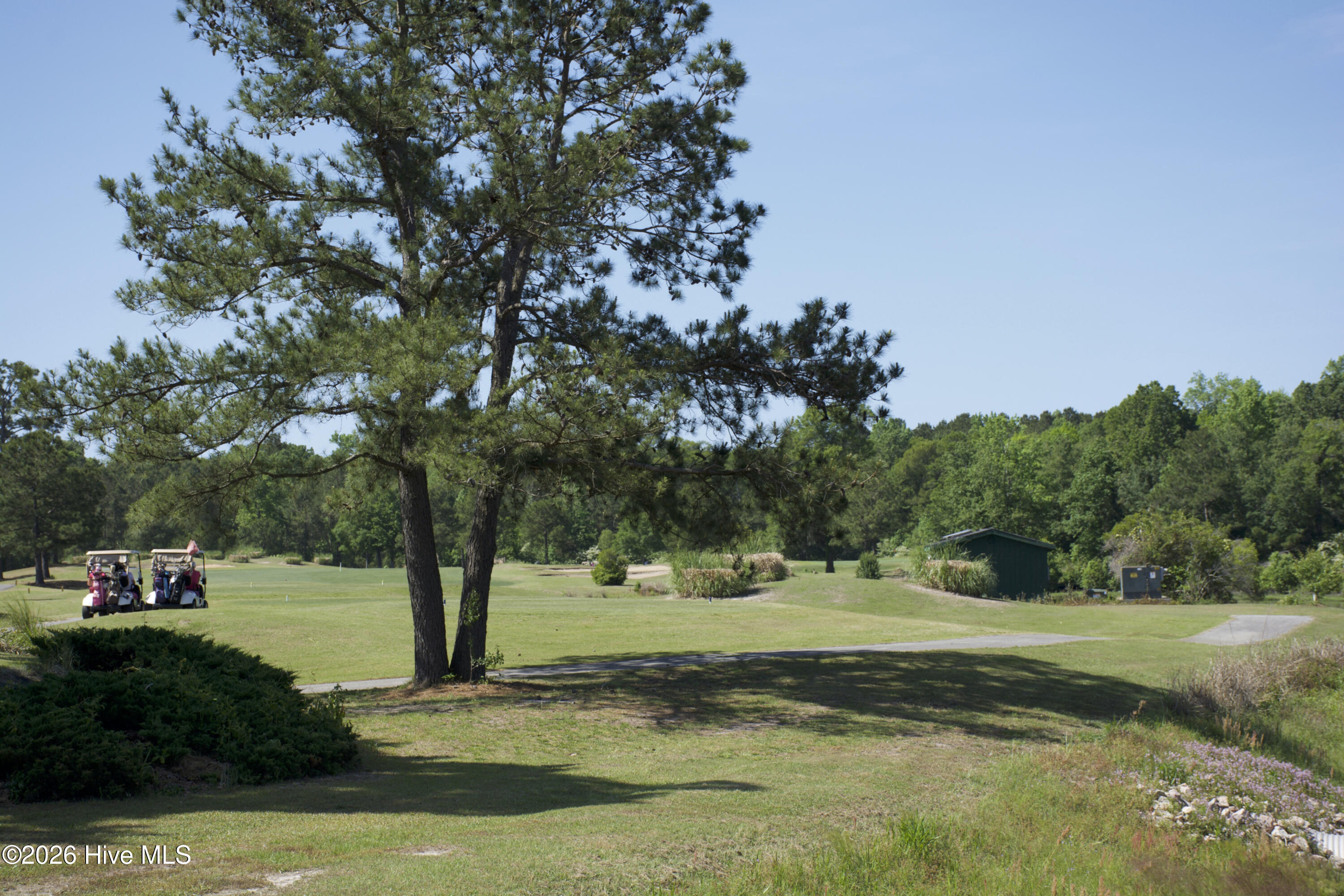 100555418 | Photo 52