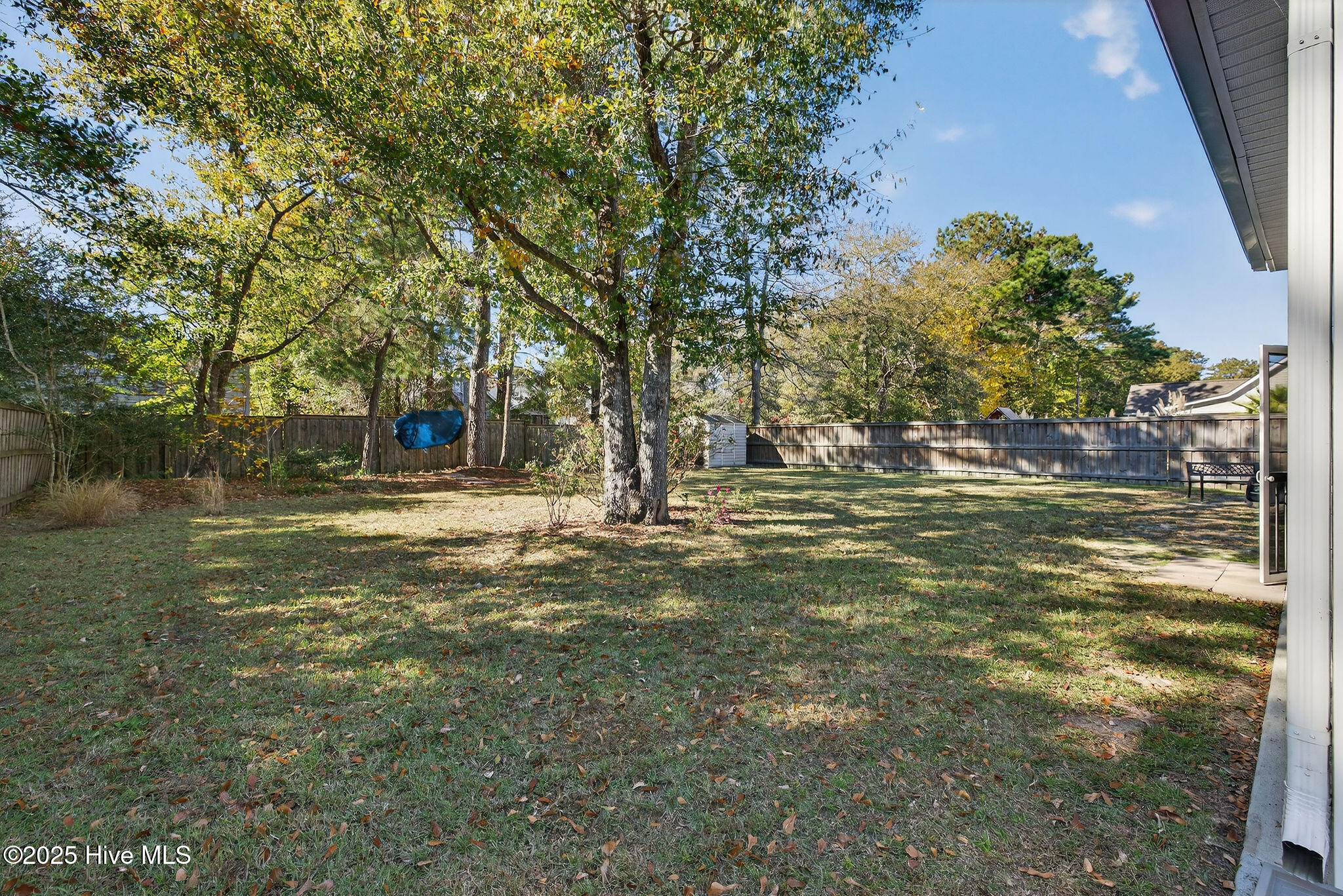 100541825 | Photo 45