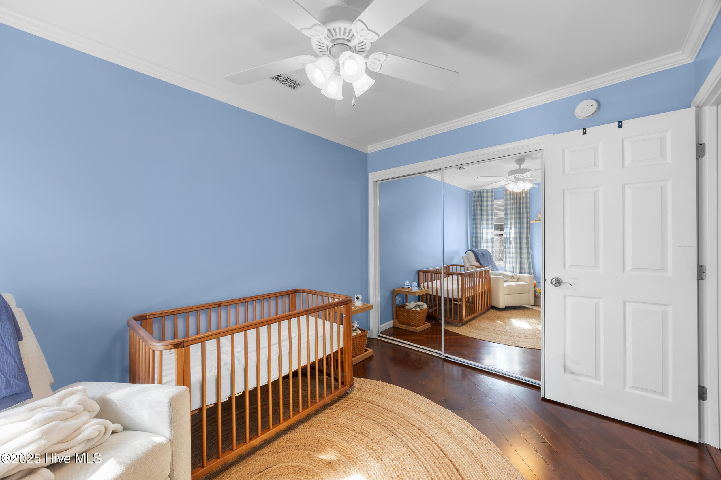 100539500 | Photo 16