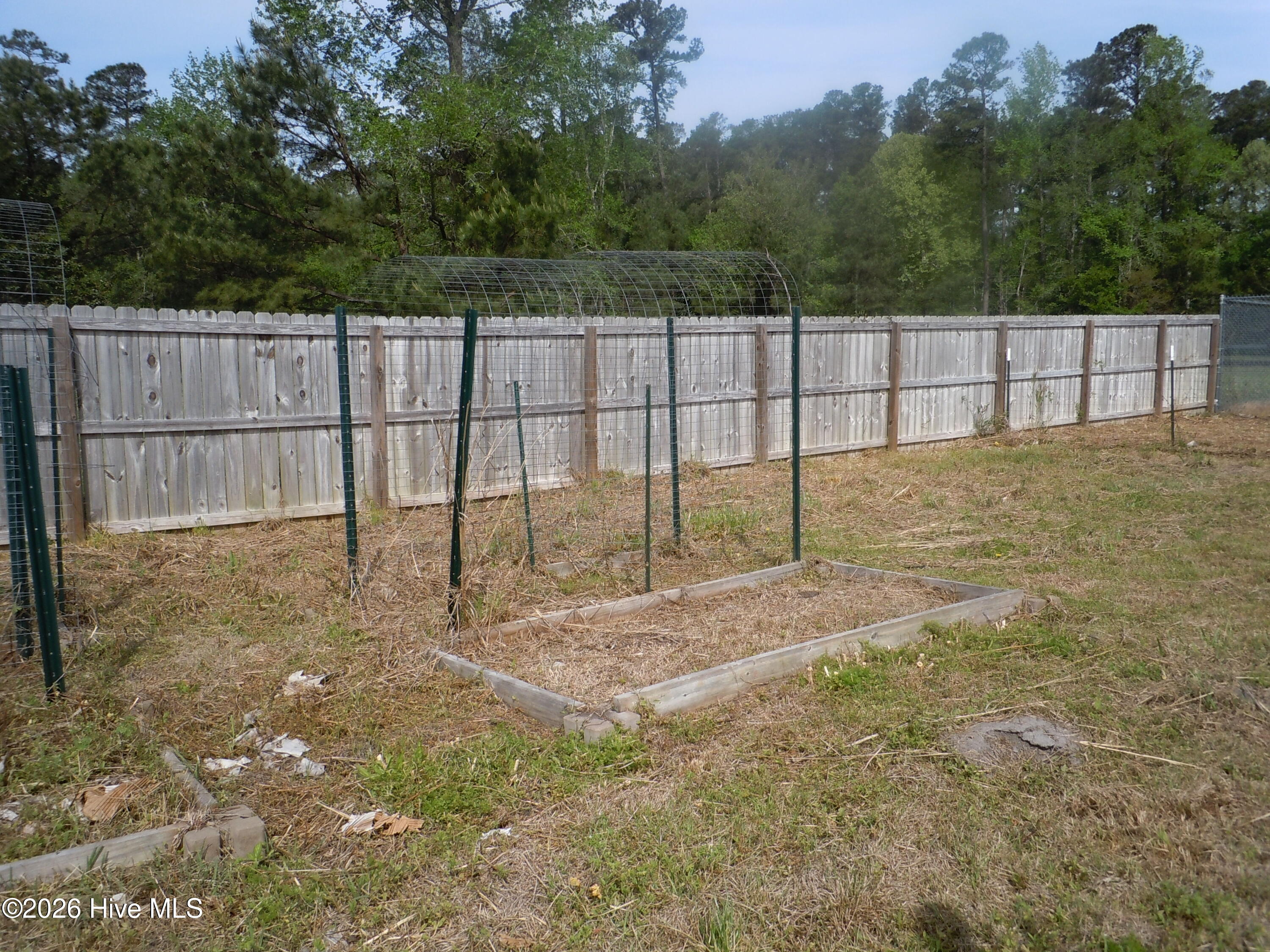 100565752 | Photo 59