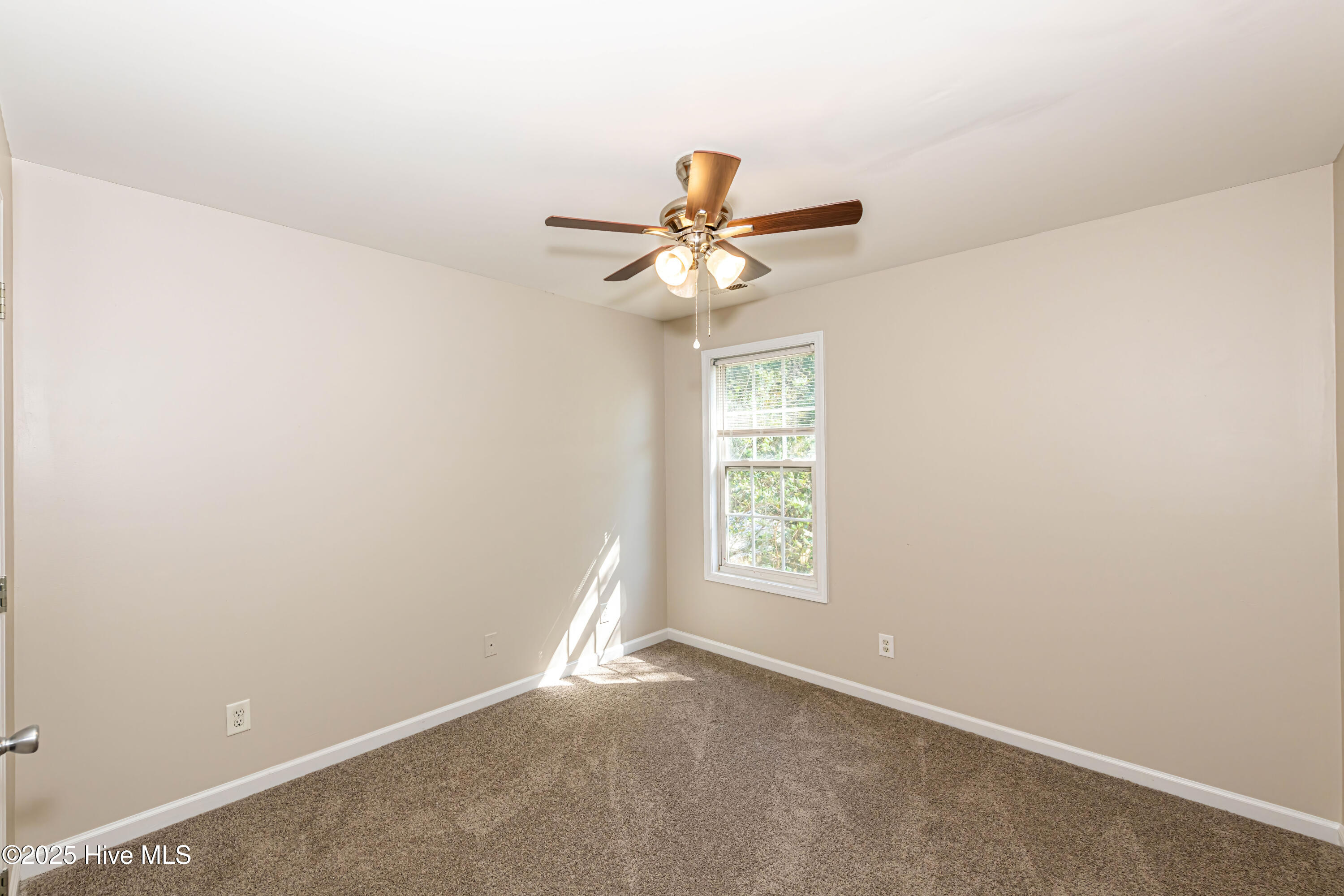 100521168 | Photo 37