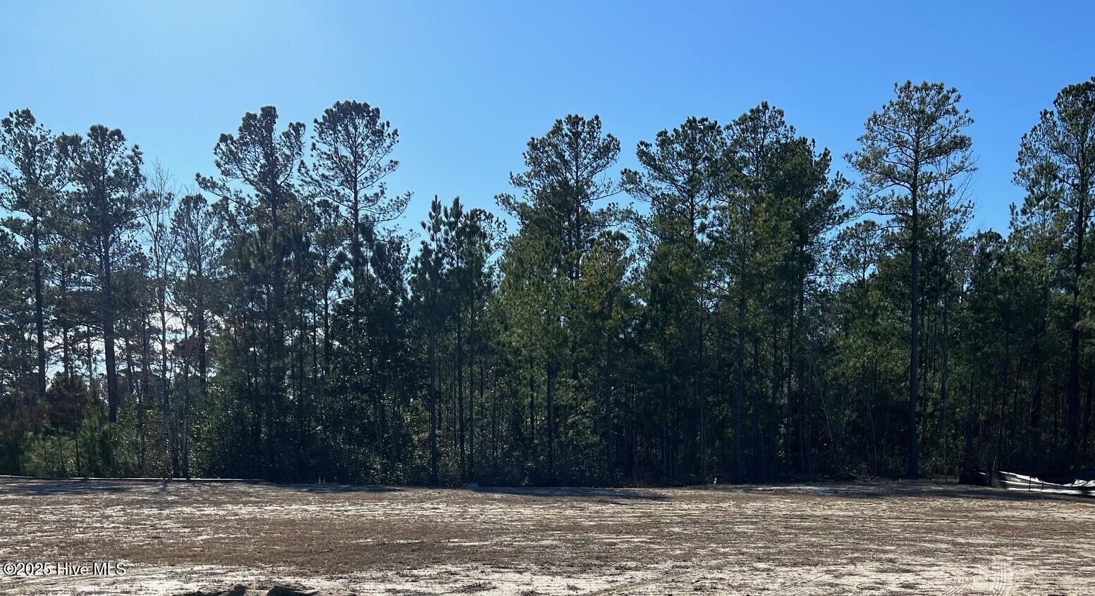 3038 86 W Timber Crest Lane NE photo