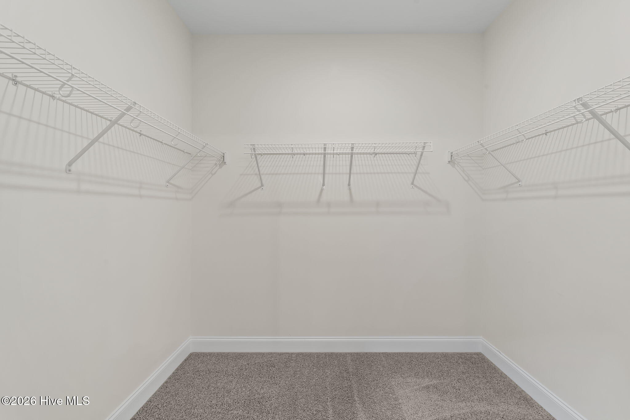 100536001 | Photo 16