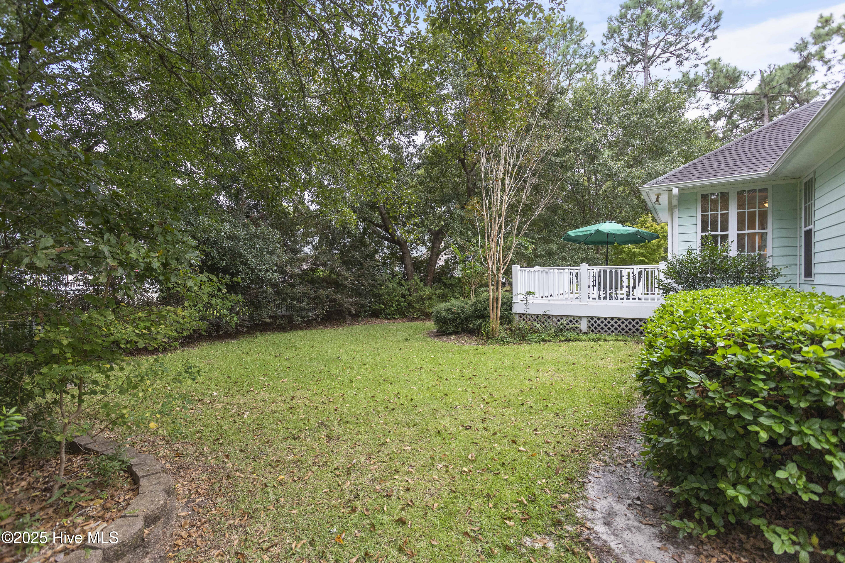 100528316 | Photo 58