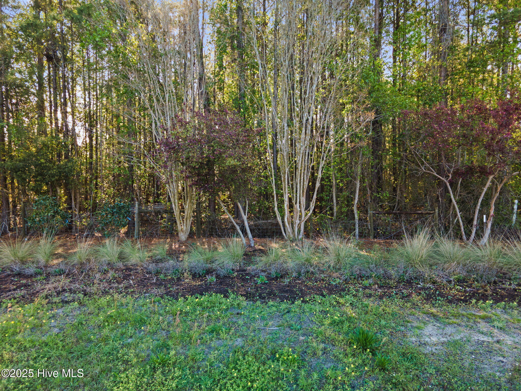 100502920 | Photo 2