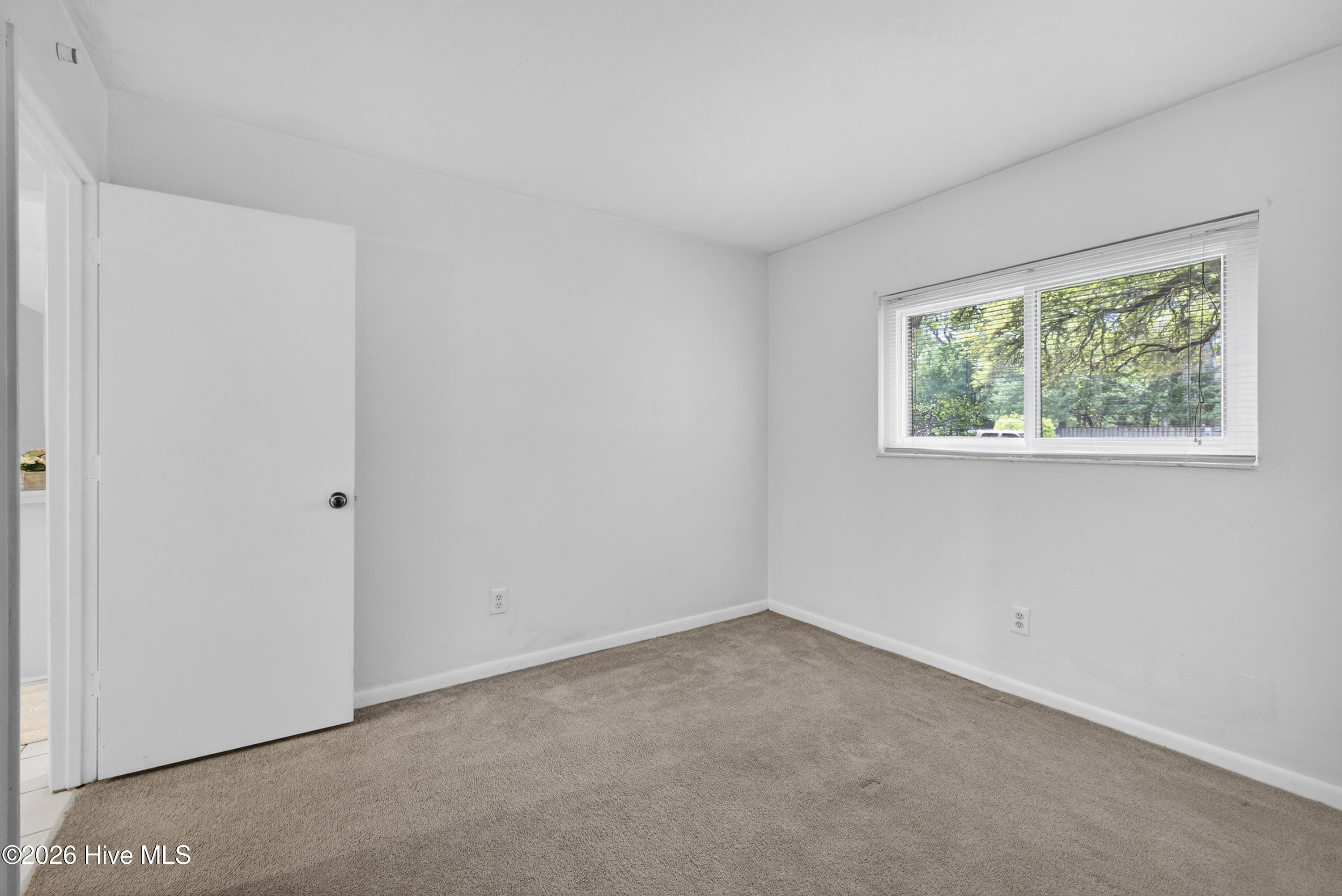 100565573 | Photo 24