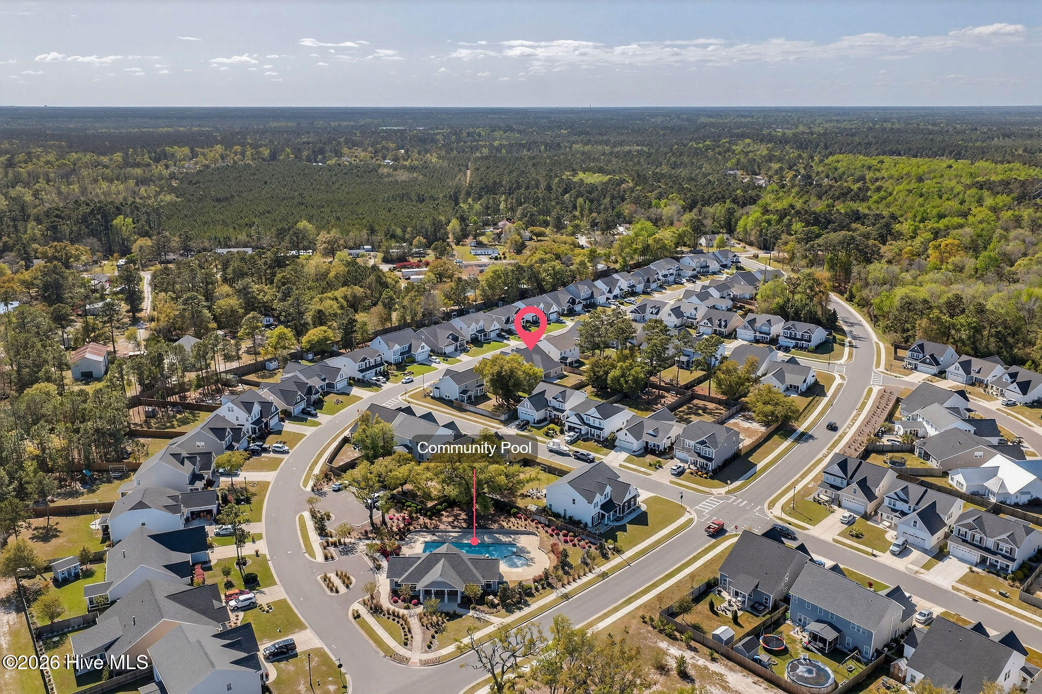 100564802 | Photo 56